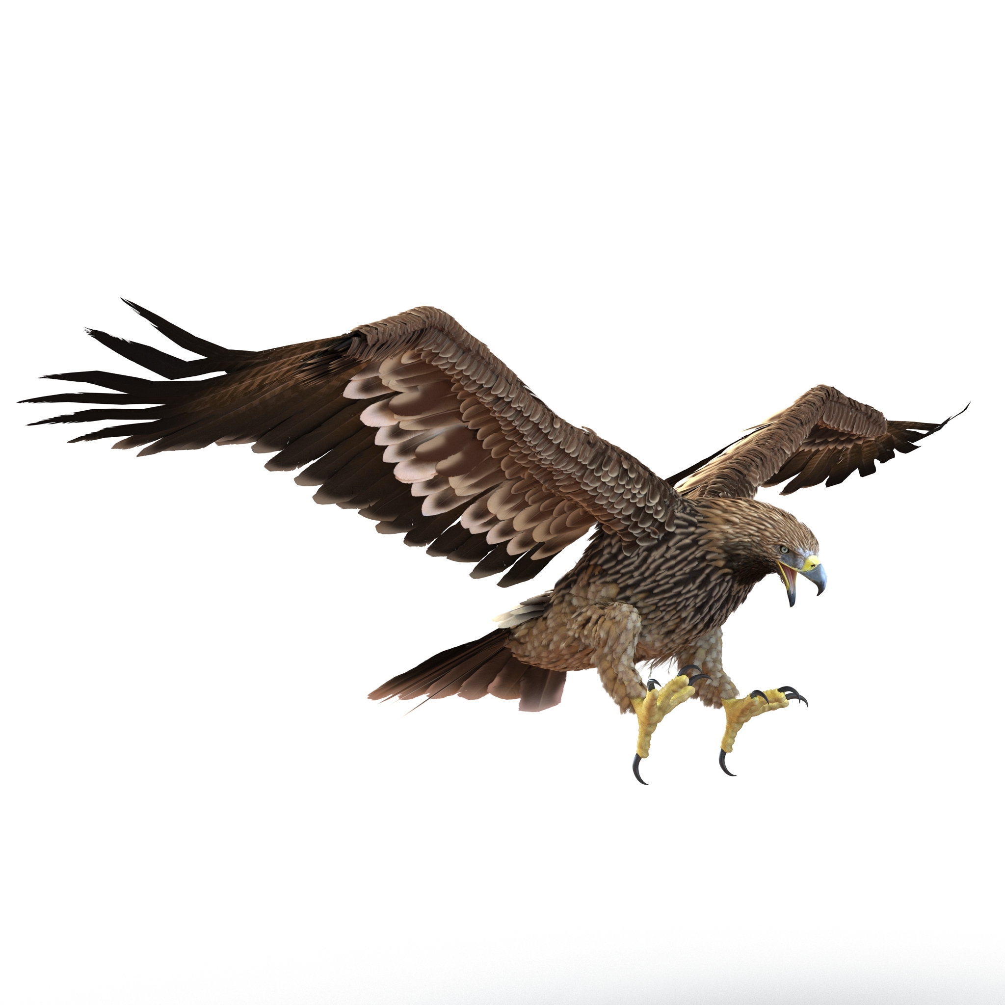 max imperial eagle rigged