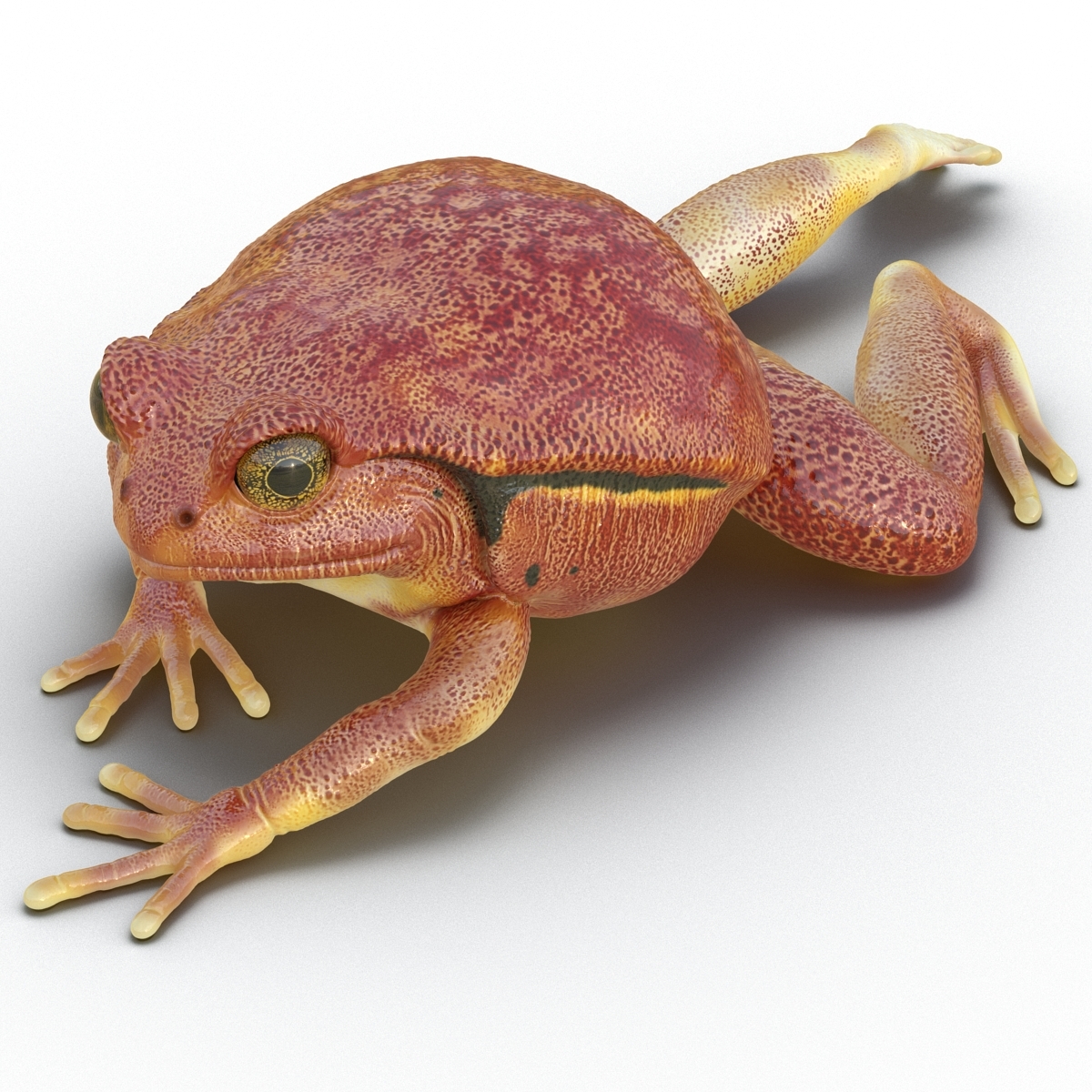 tomato frog pose 3