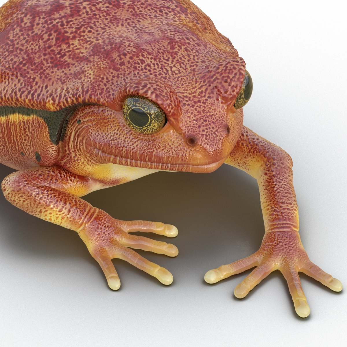 tomato frog pose 3