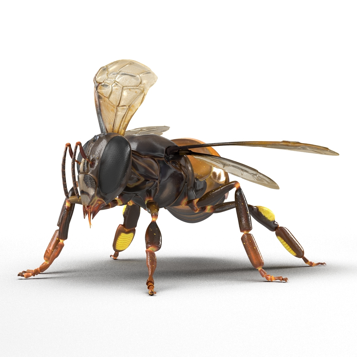 蜜蜂姿势23d模型