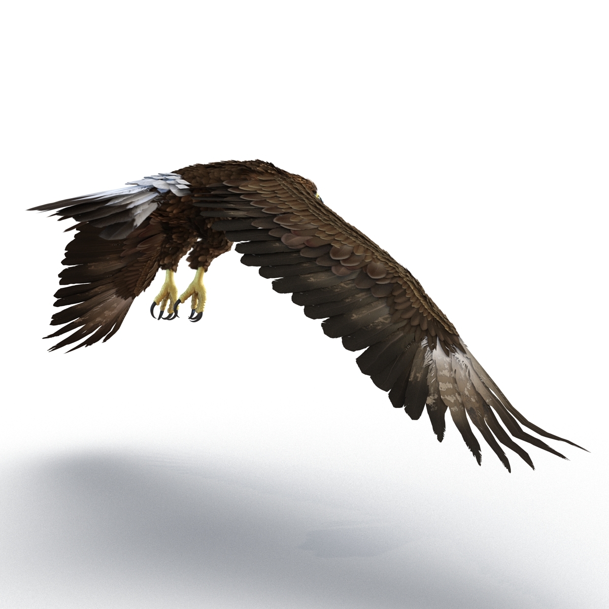 golden eagles 3d models collection