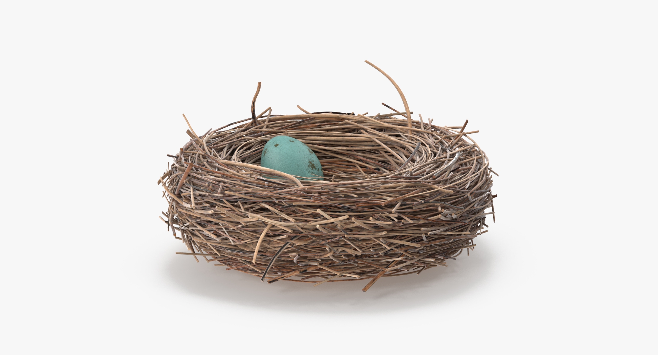 3d max bird nest 02