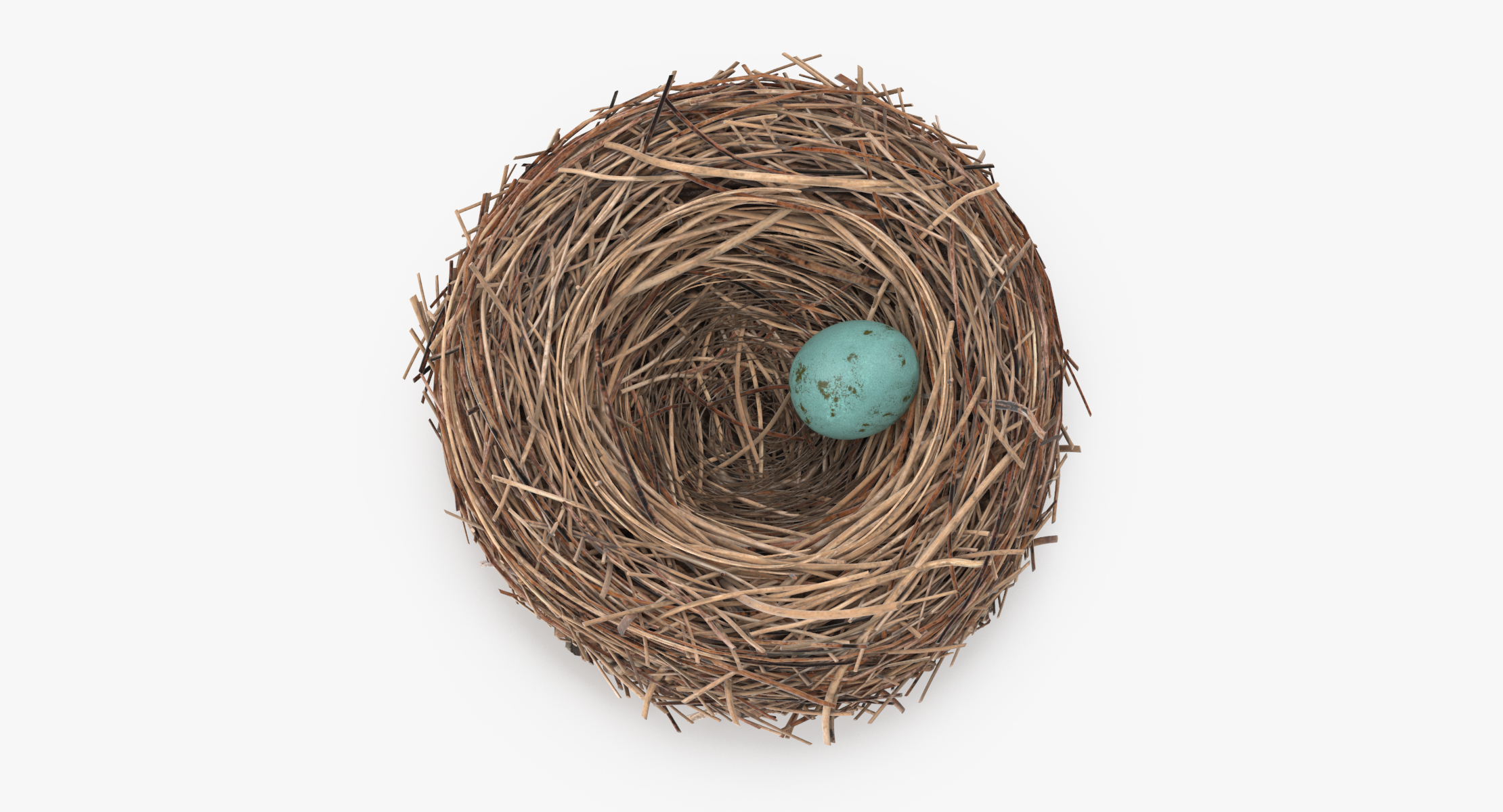 3d max bird nest 02