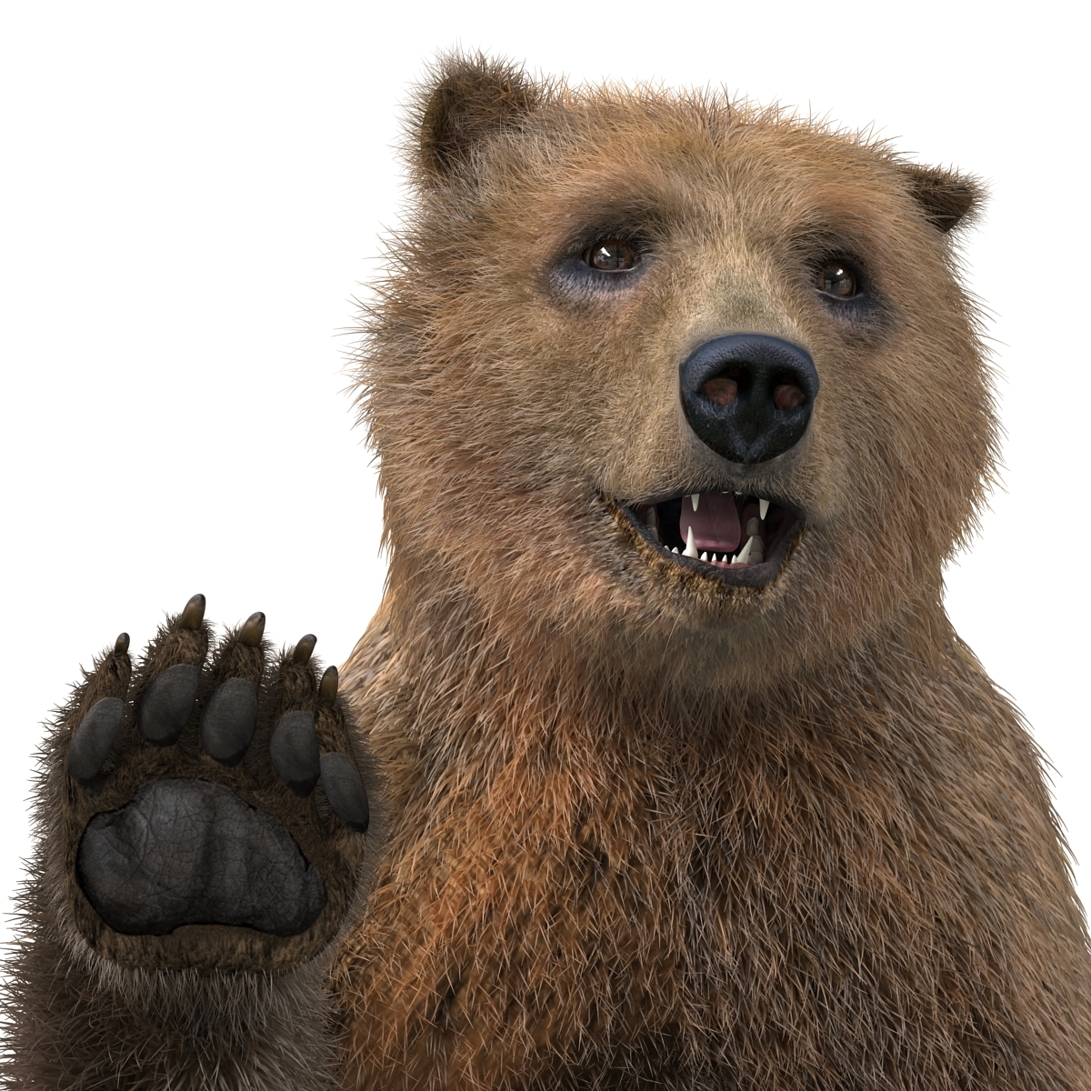 brown bear fur pose max