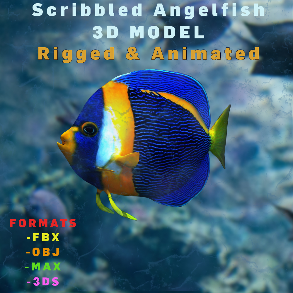 3d lowpoly realistic scribbled angelfish model animated