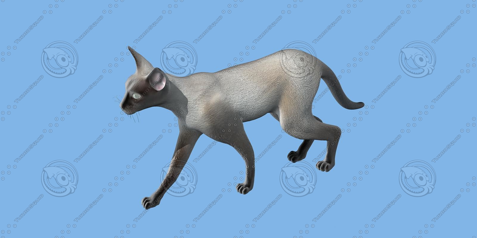 猫3d模型
