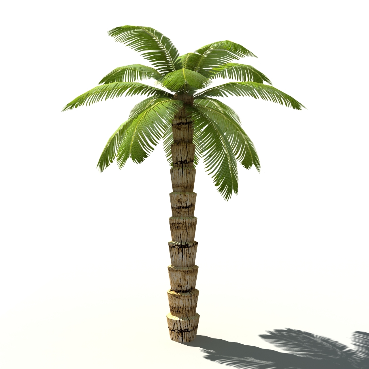 cartoon palm trees 3d model