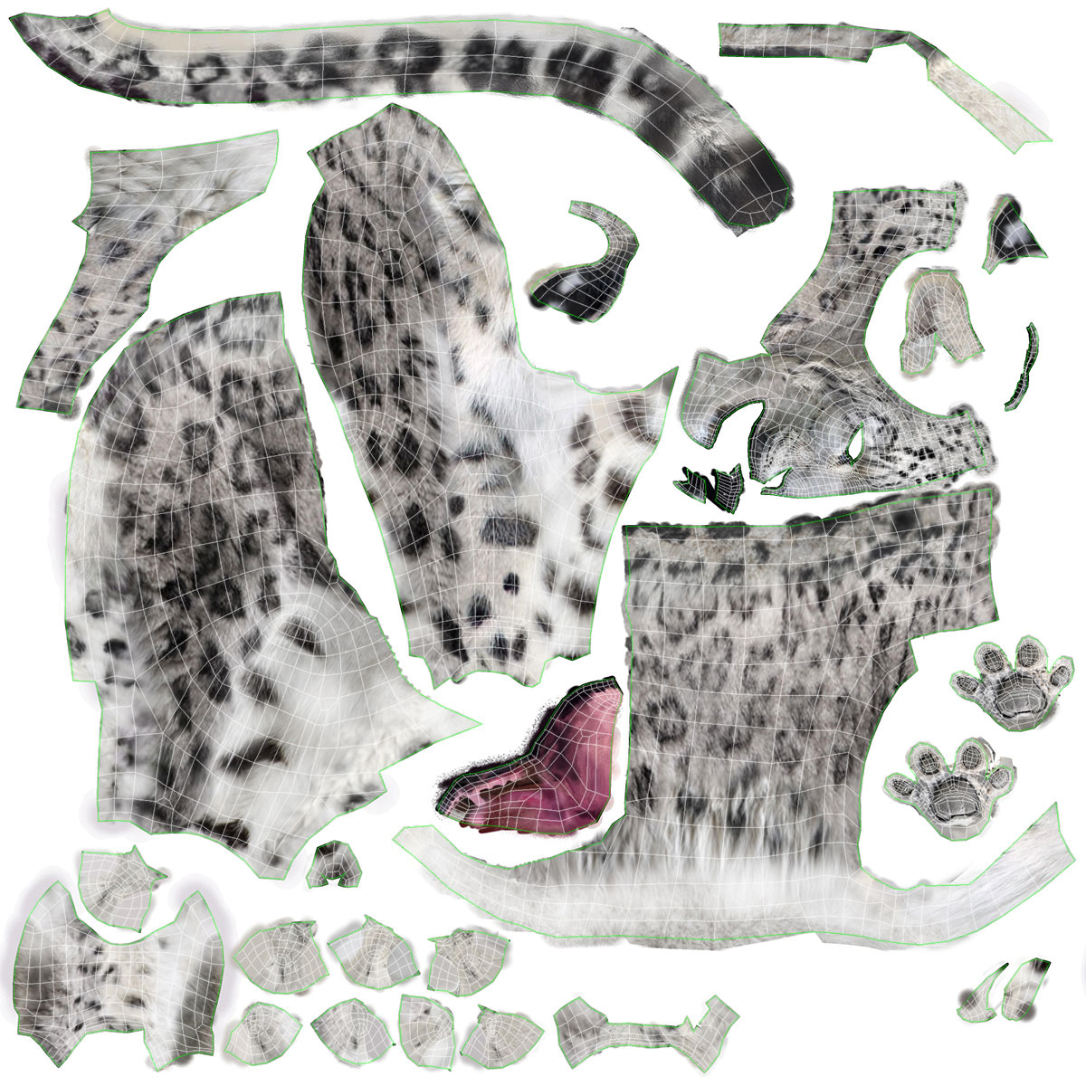 snow leopard 3d model