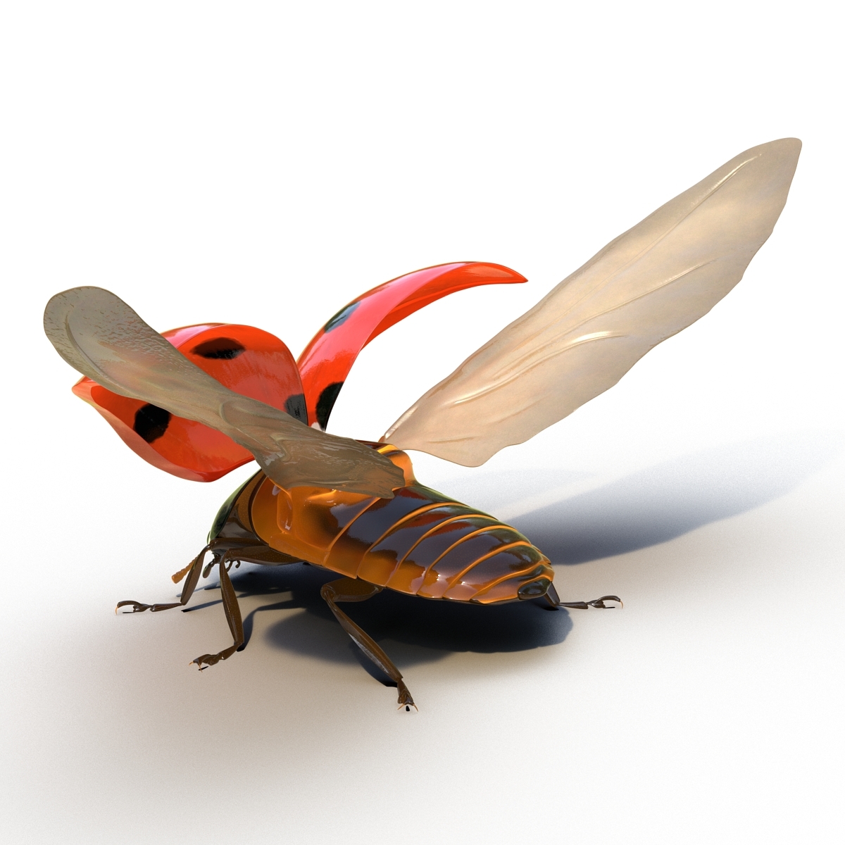 3d model flying ladybug rigged