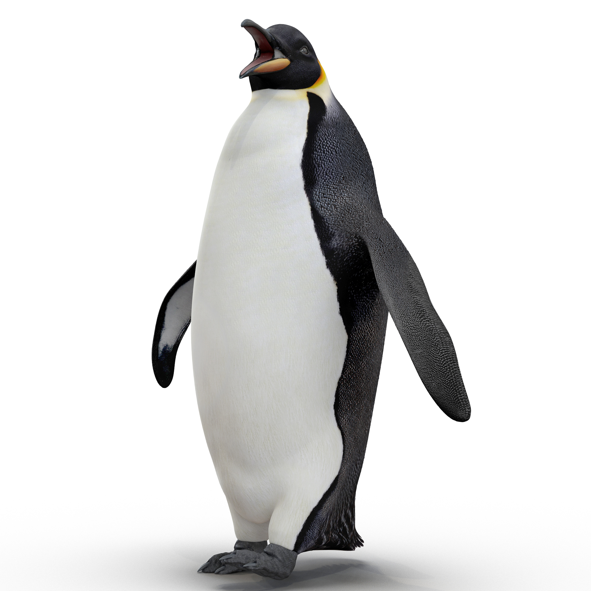 皇帝企鹅索具3d模型