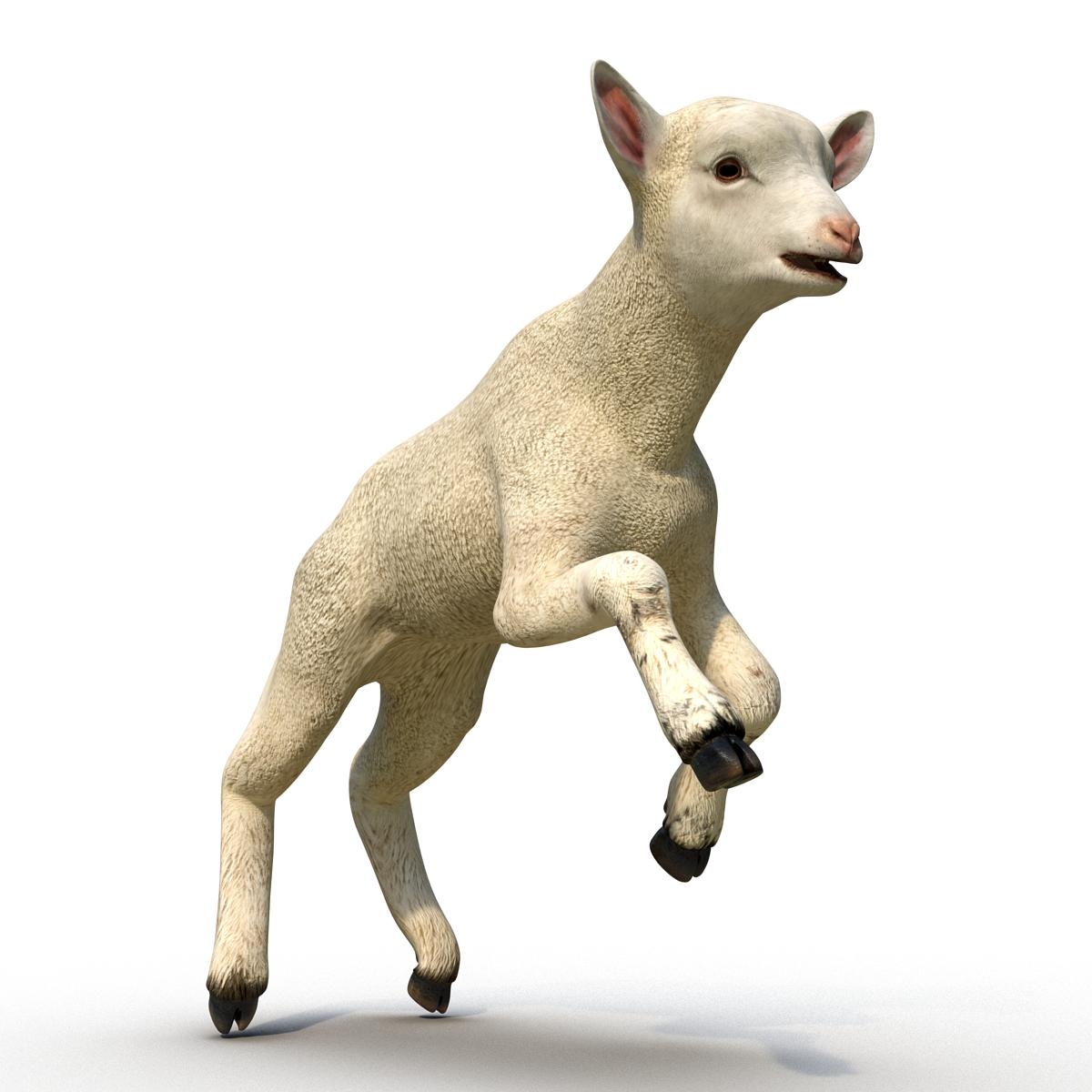 max lamb pose 3