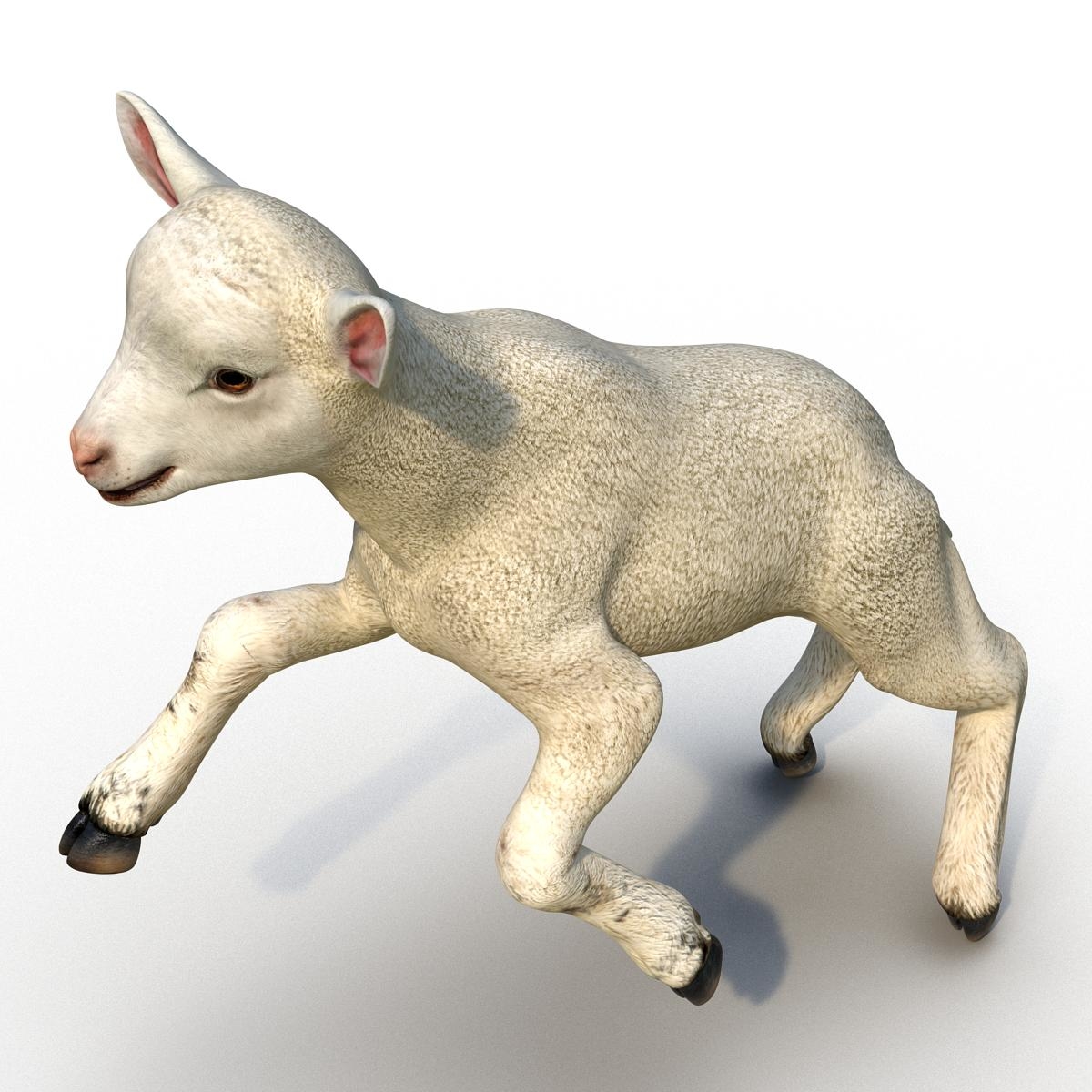 max lamb pose 3