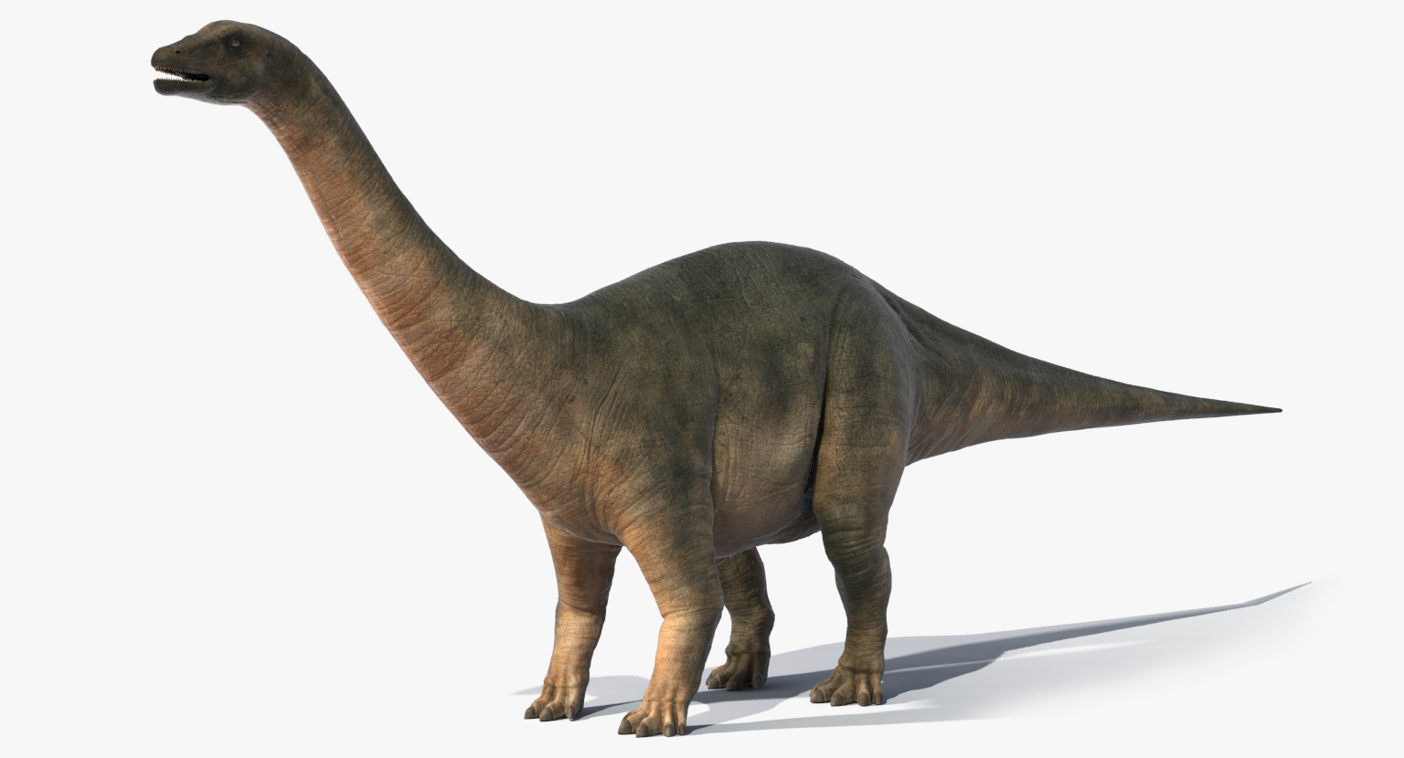 realistic brontosaurus obj