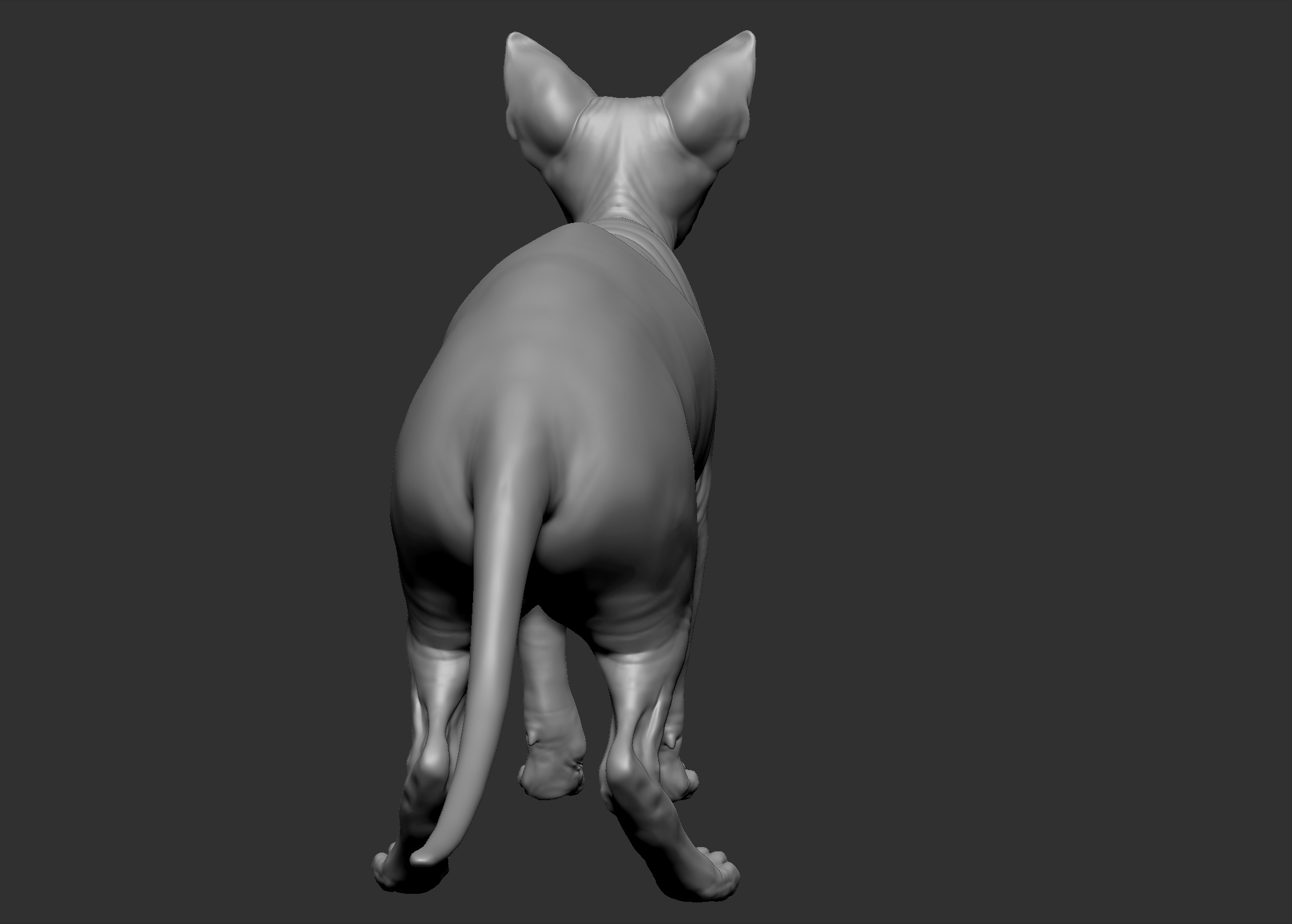 sphynx cat 3d obj