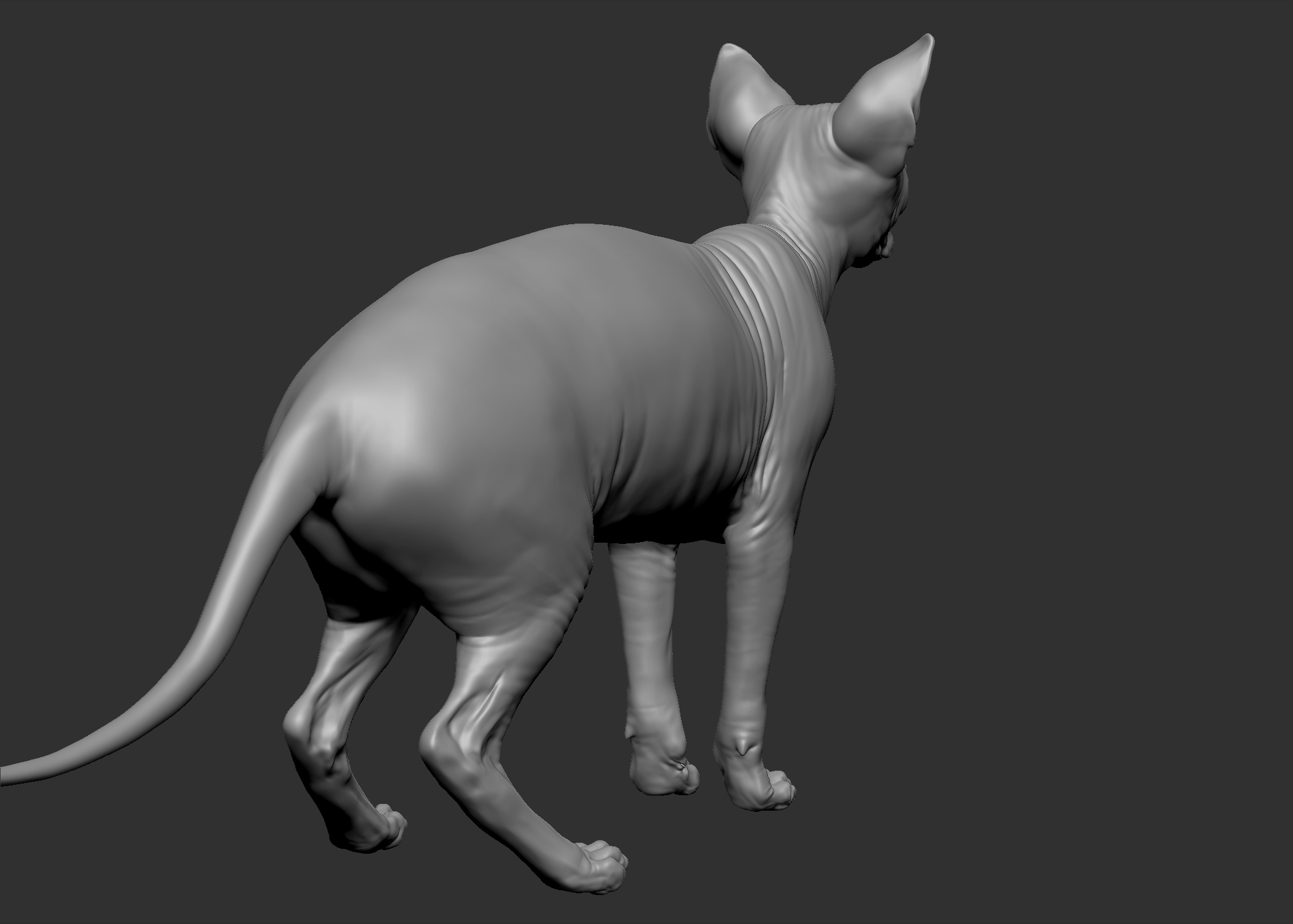 sphynx cat 3d obj