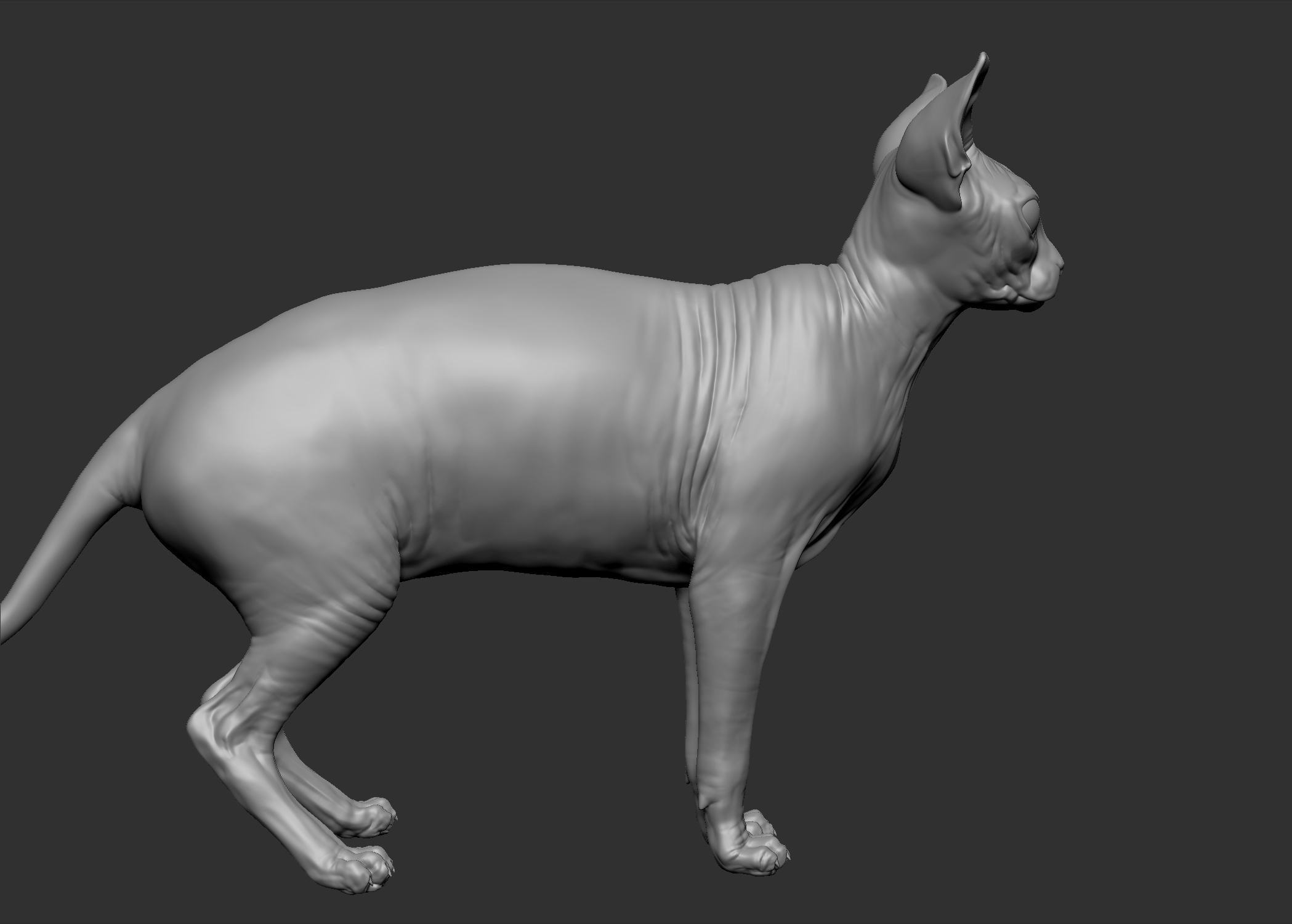 sphynx cat 3d obj