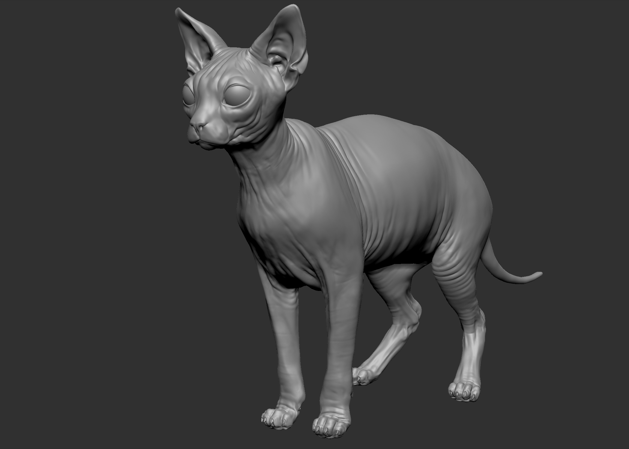斯芬克斯猫全3d模型