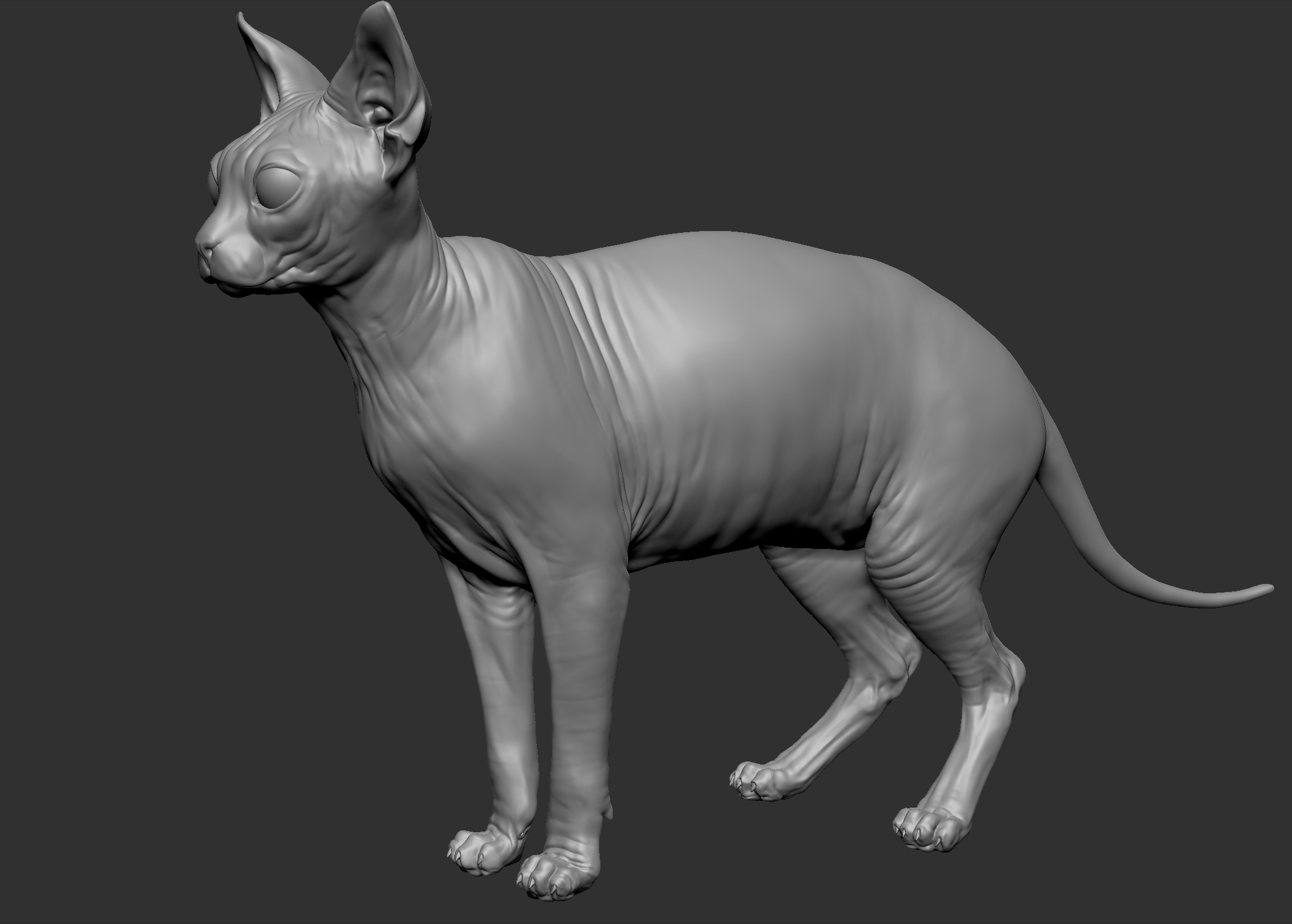 sphynx cat 3d obj