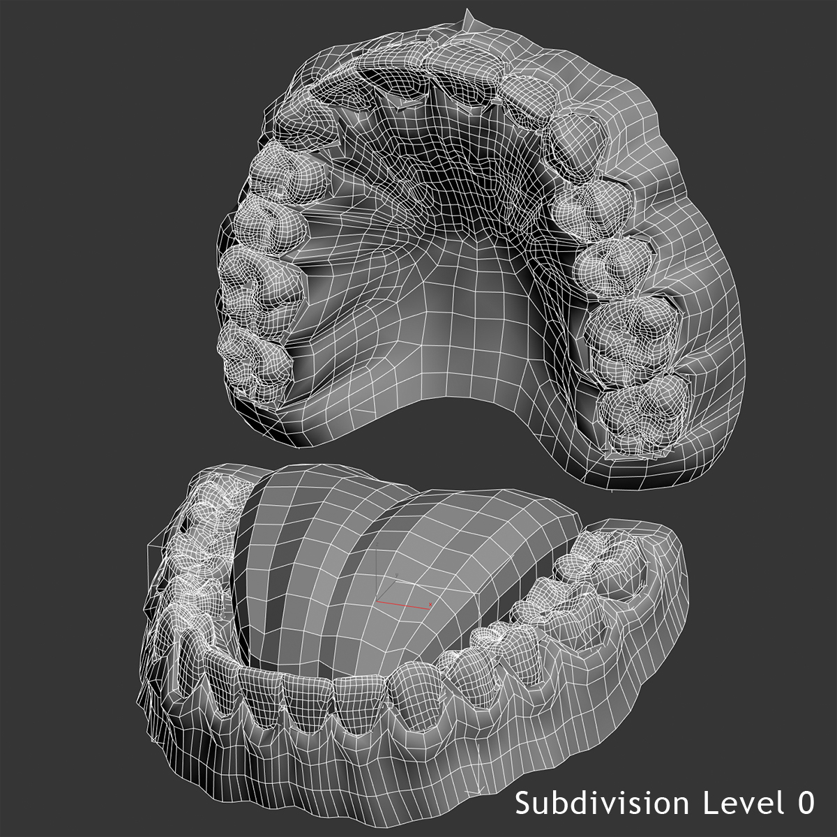 classic human dentition