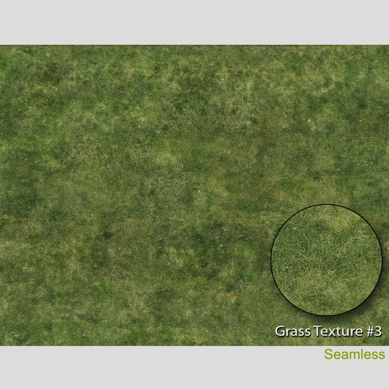 lawn grass texture