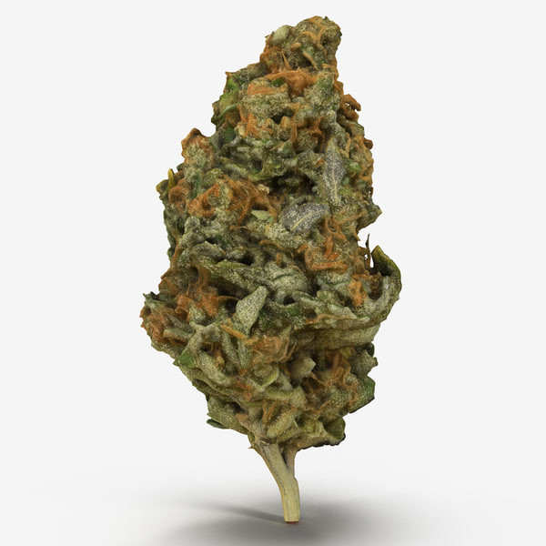 Licensed Producers Canada Medical Marijuana