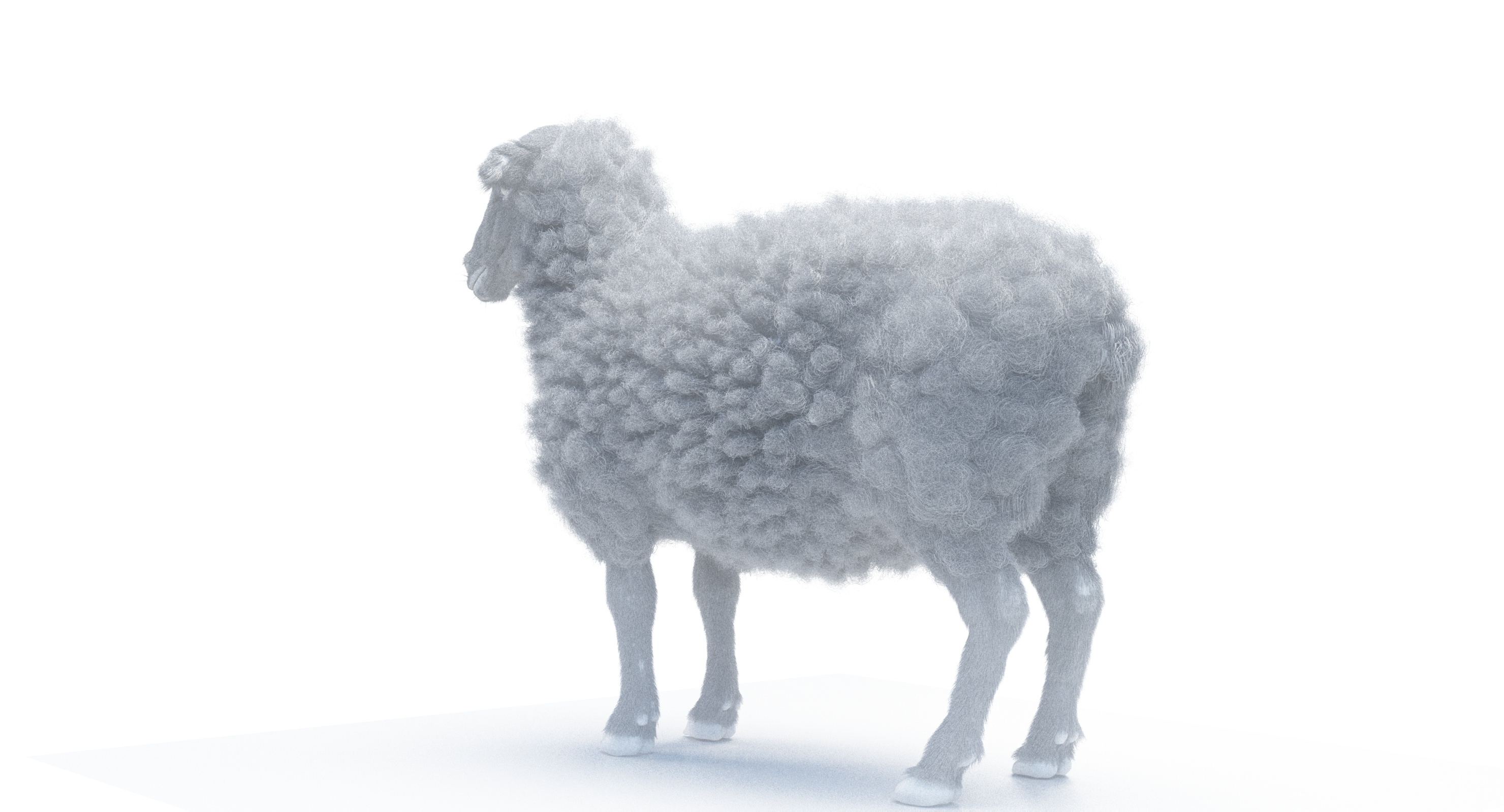 3d model of sheep realistic