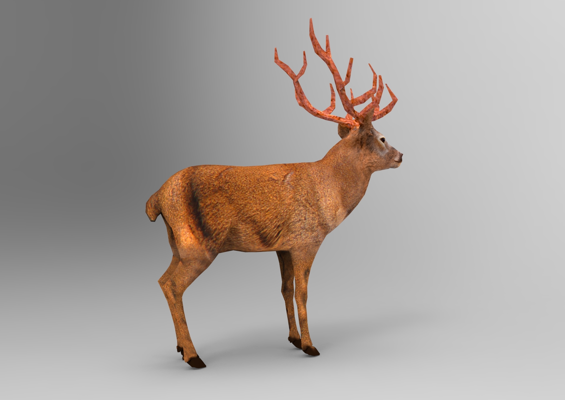 3d model deer rigged