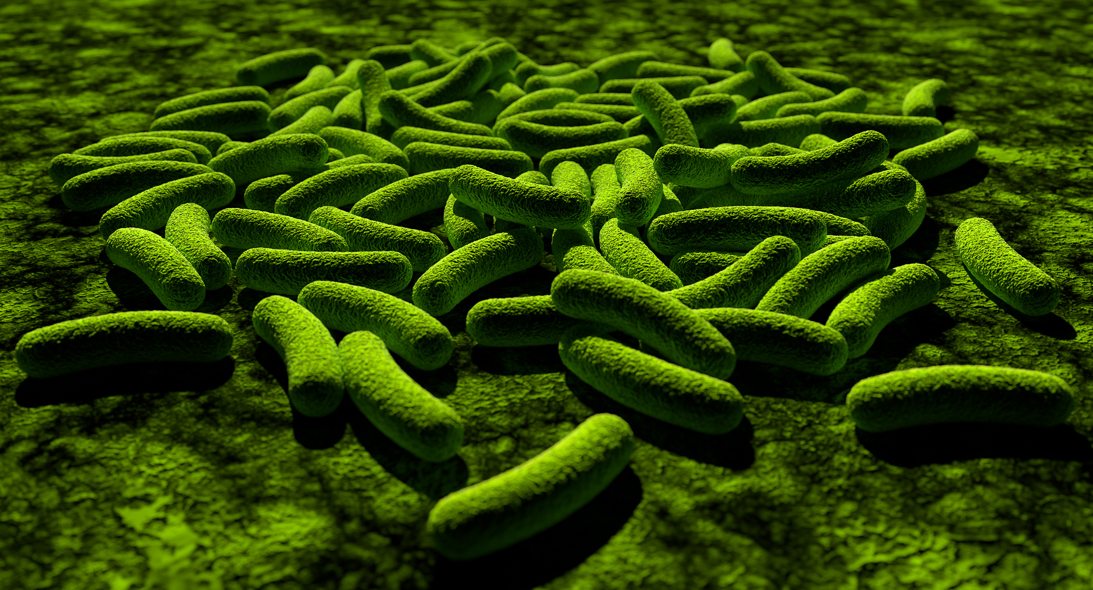 bacteria 3d max