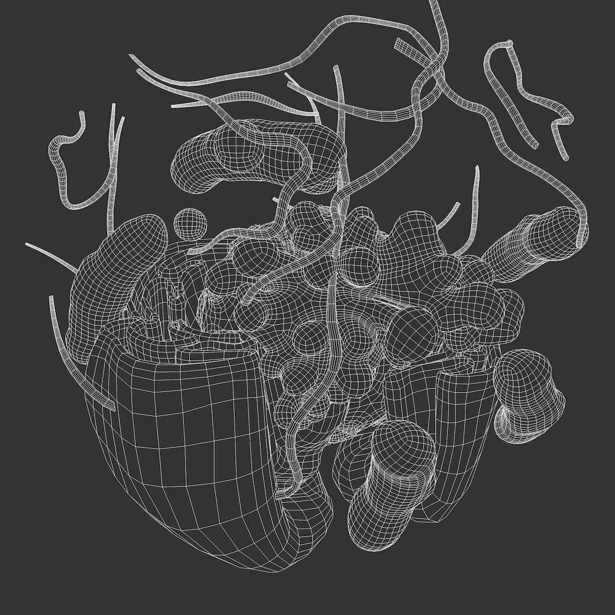 neuron synapses myelin 3d model