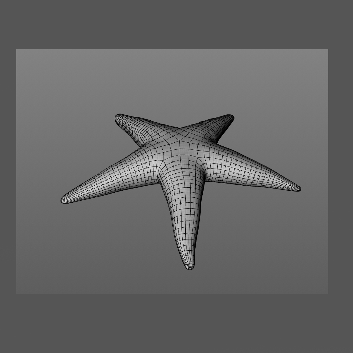 starfish star fish 3d model