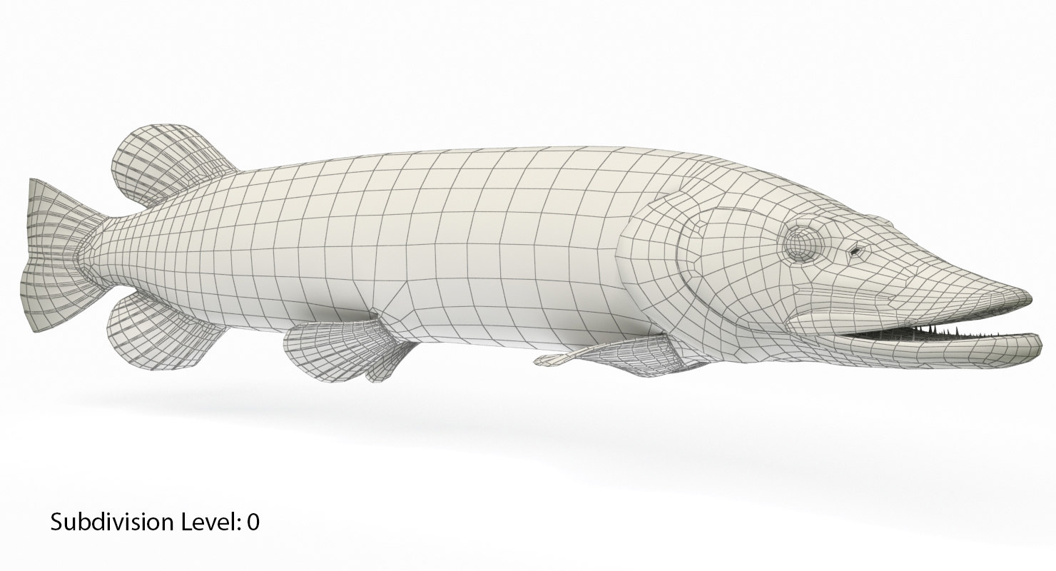 pike fish animation 3d model