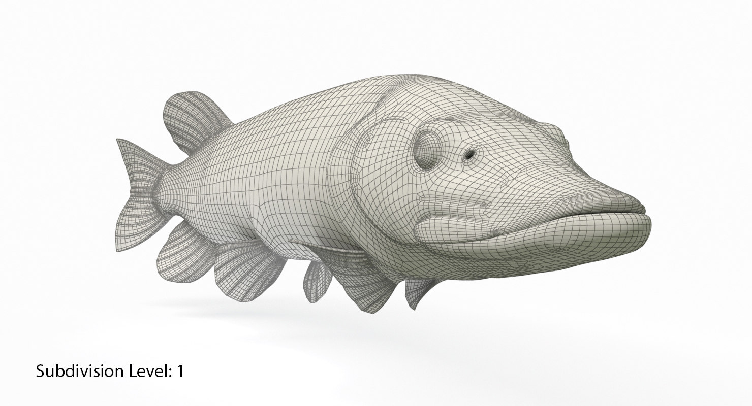 pike fish animation 3d model