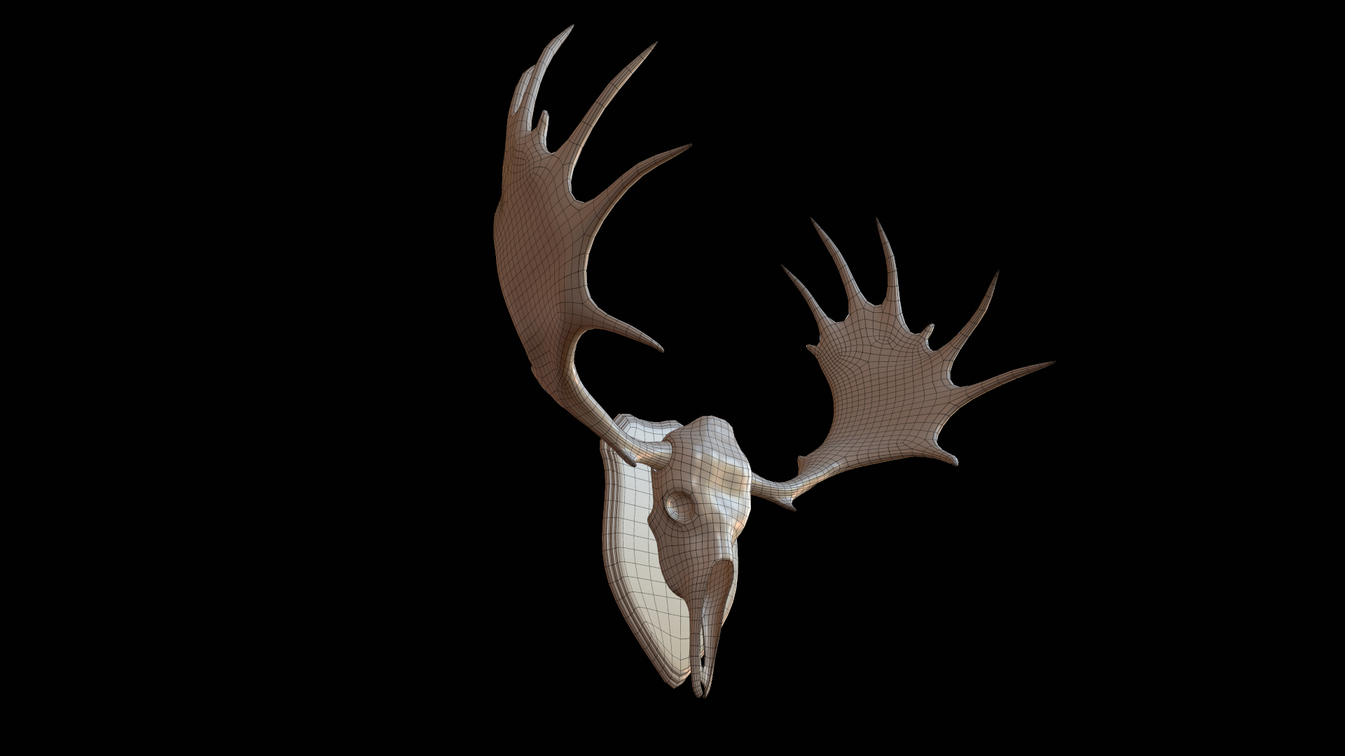 驼鹿头骨3d模型