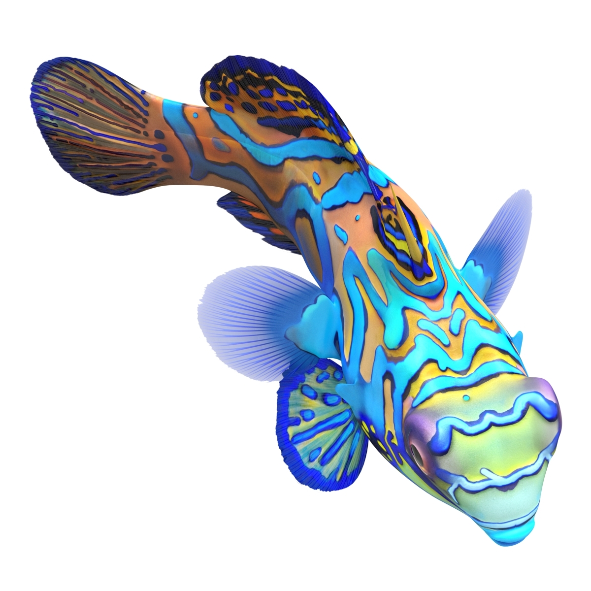 coral fishs collection 2 rigged