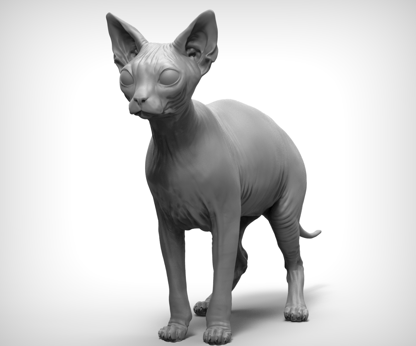 sphynx cat 3d obj