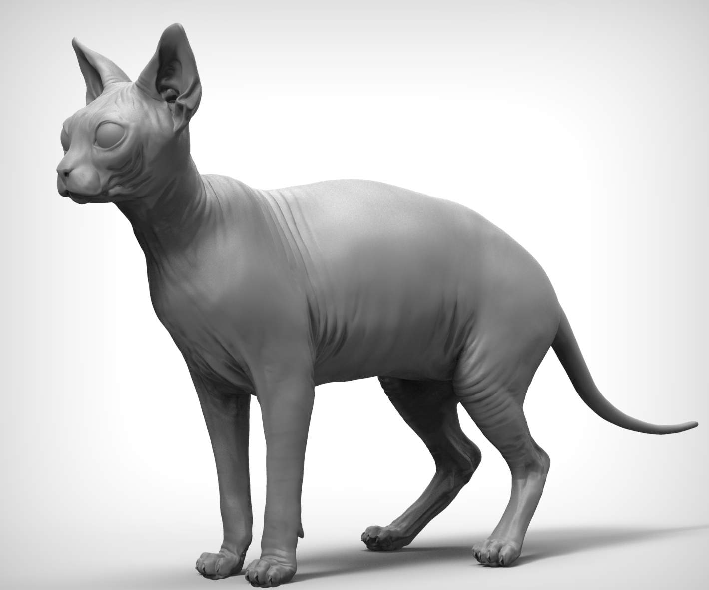 sphynx cat 3d obj