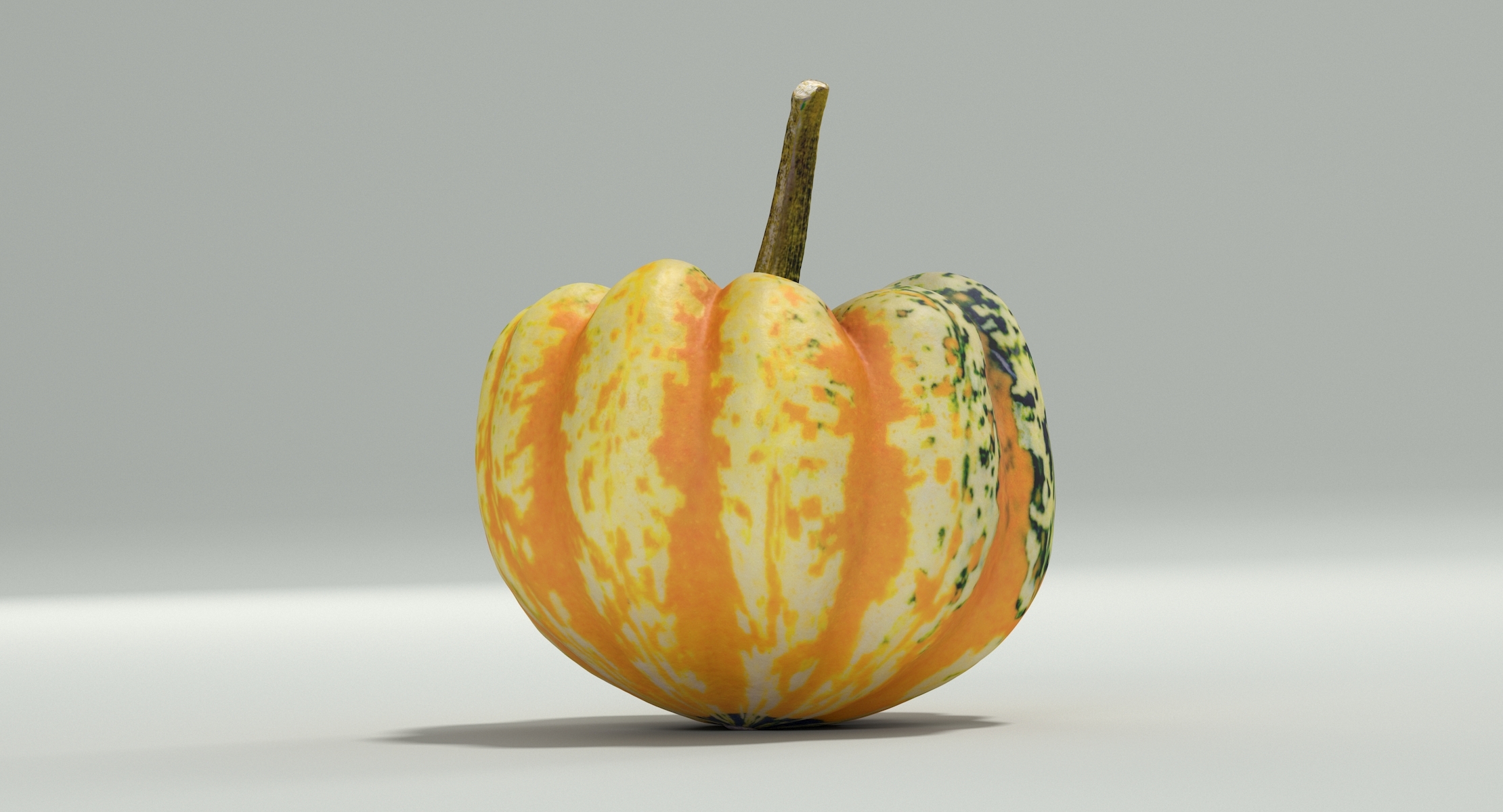 carnival squash pumpkin 3d obj