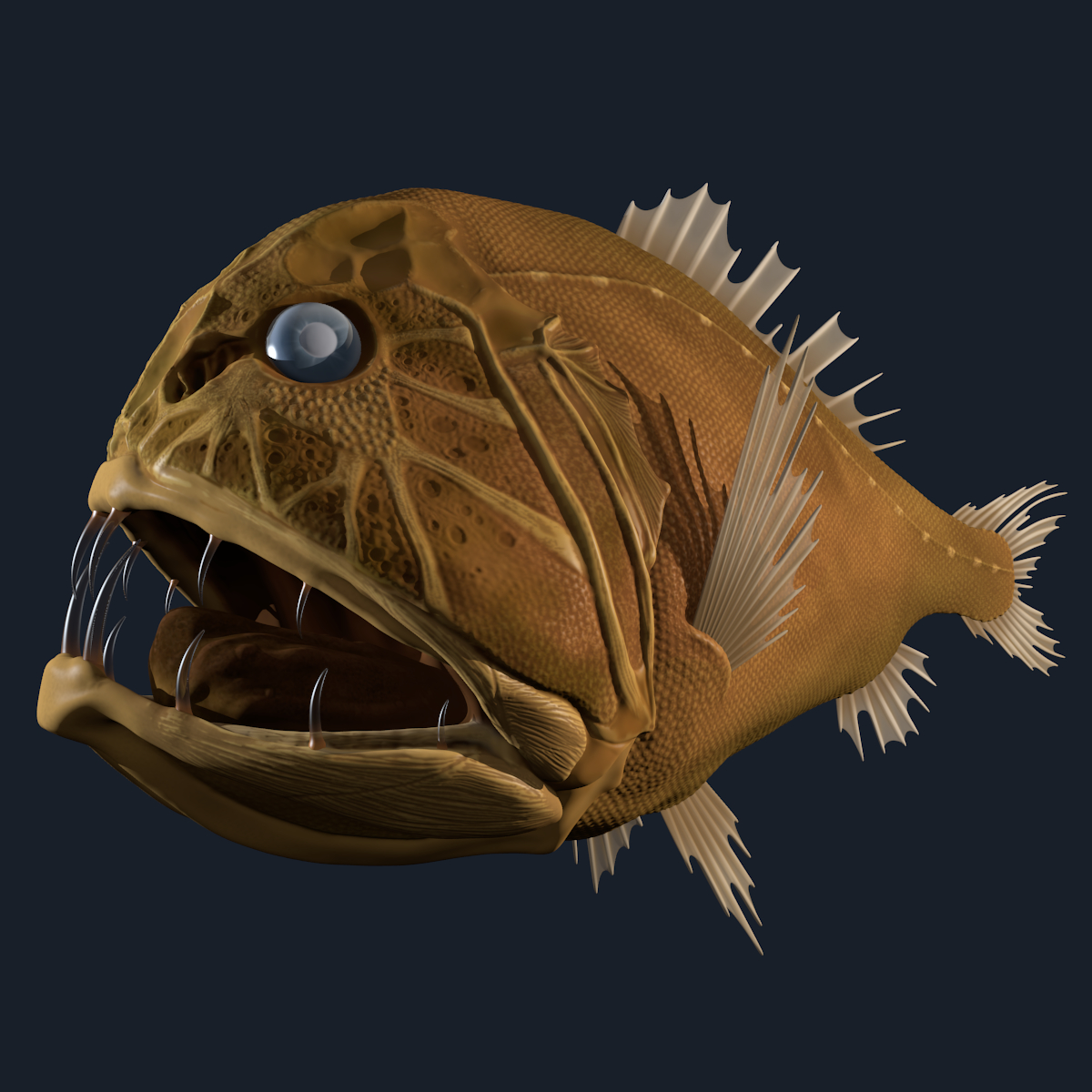 abyssal fish fangtooth