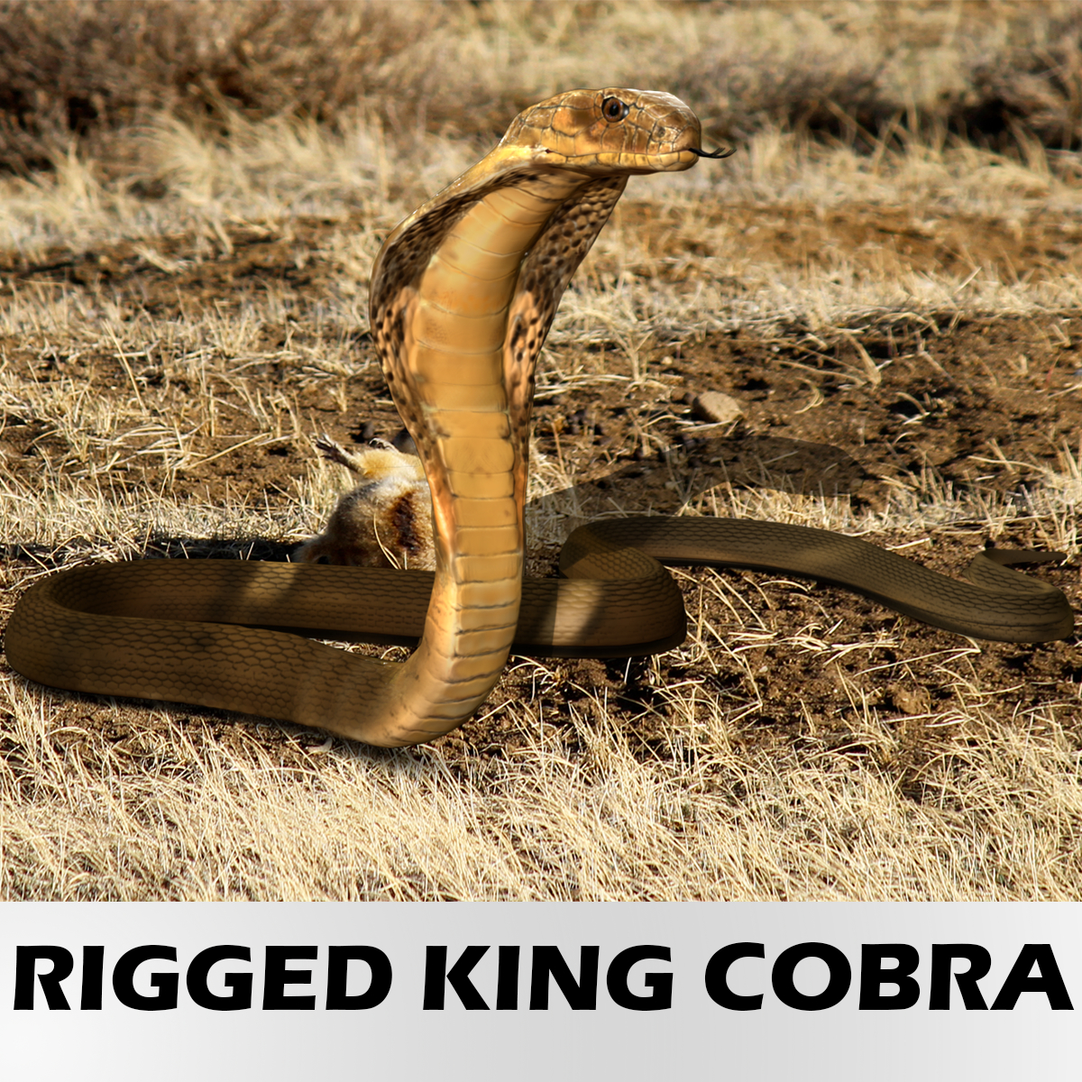 realistic rigged king cobra