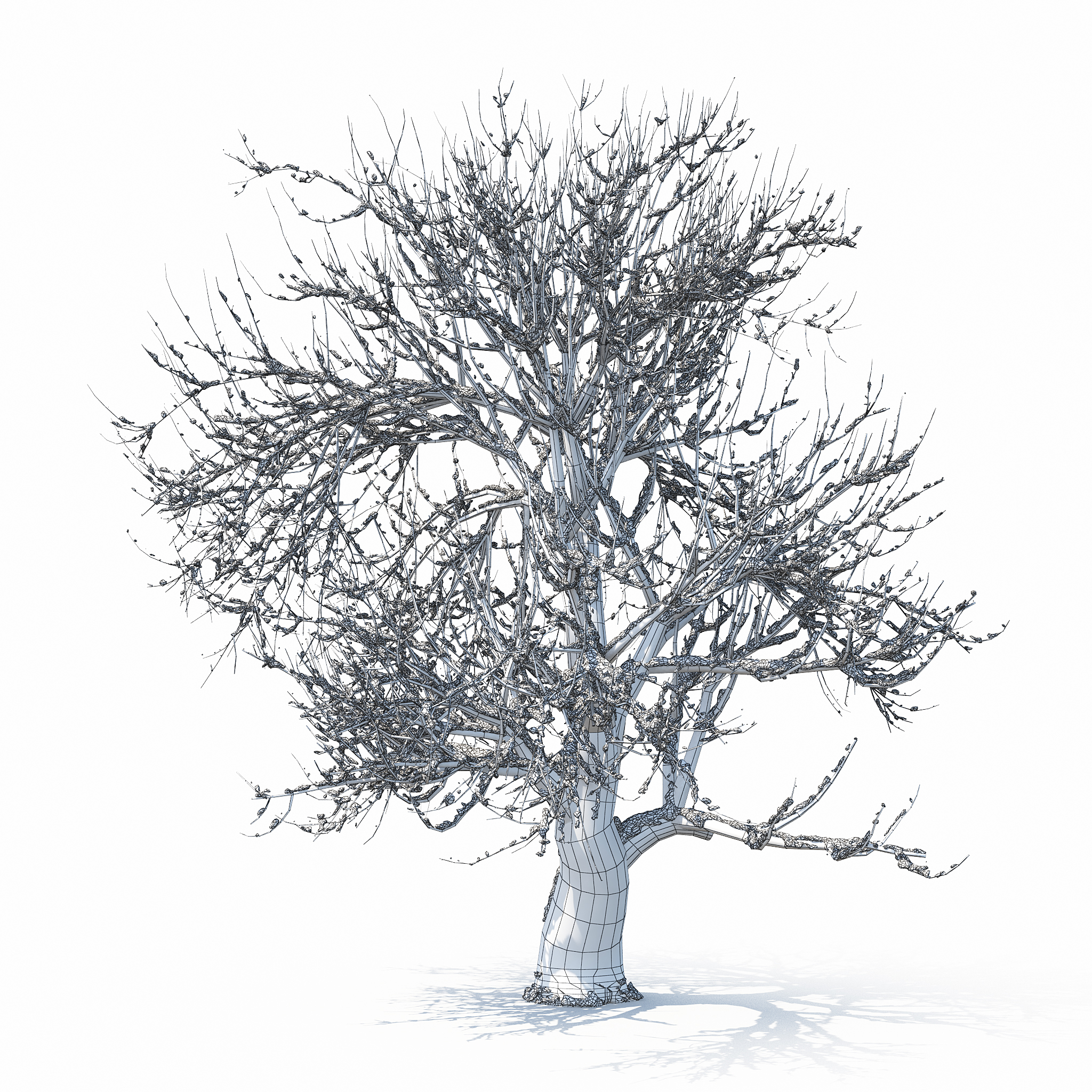 3d winter tree