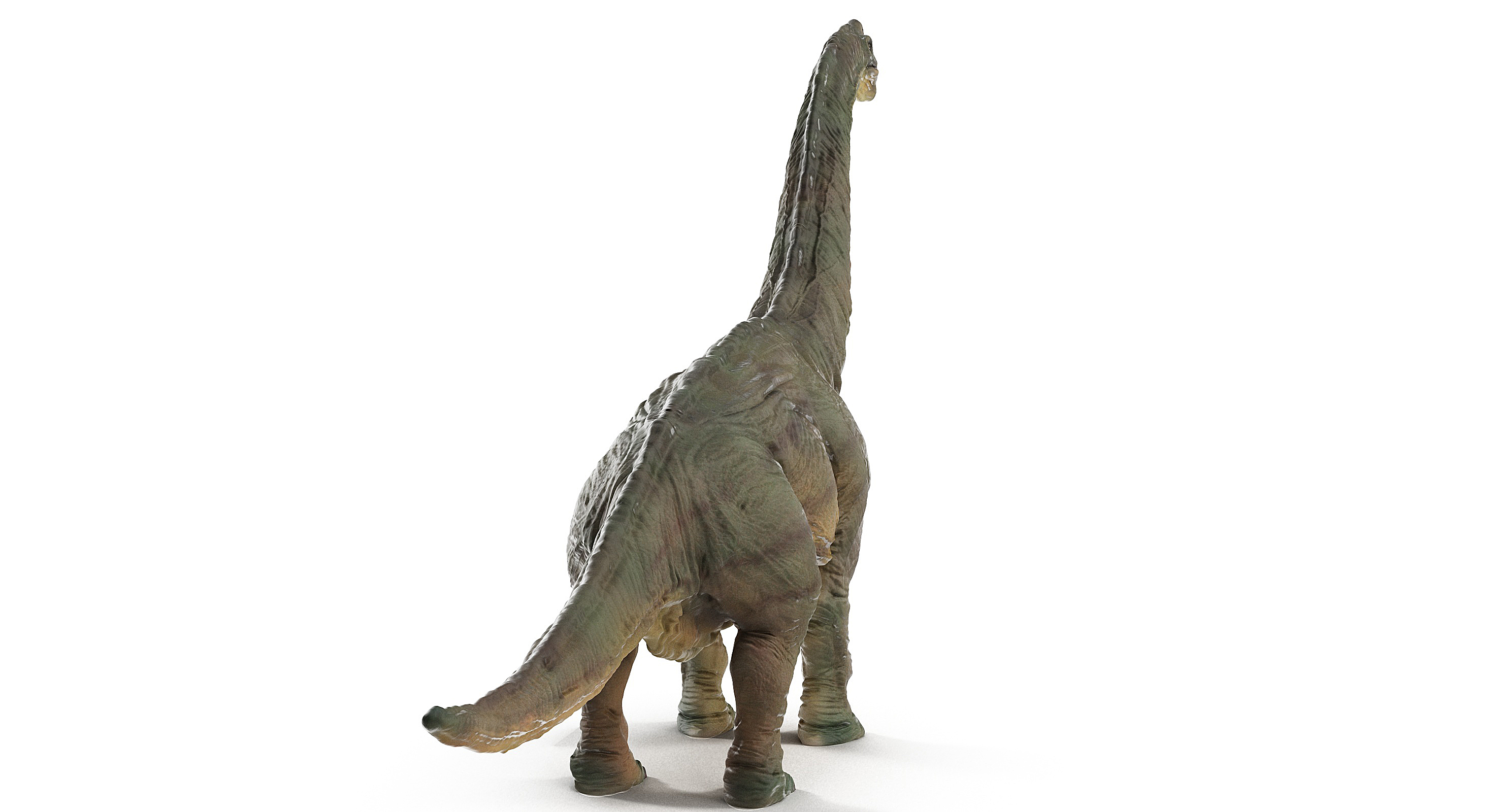 3d brachiosaurus