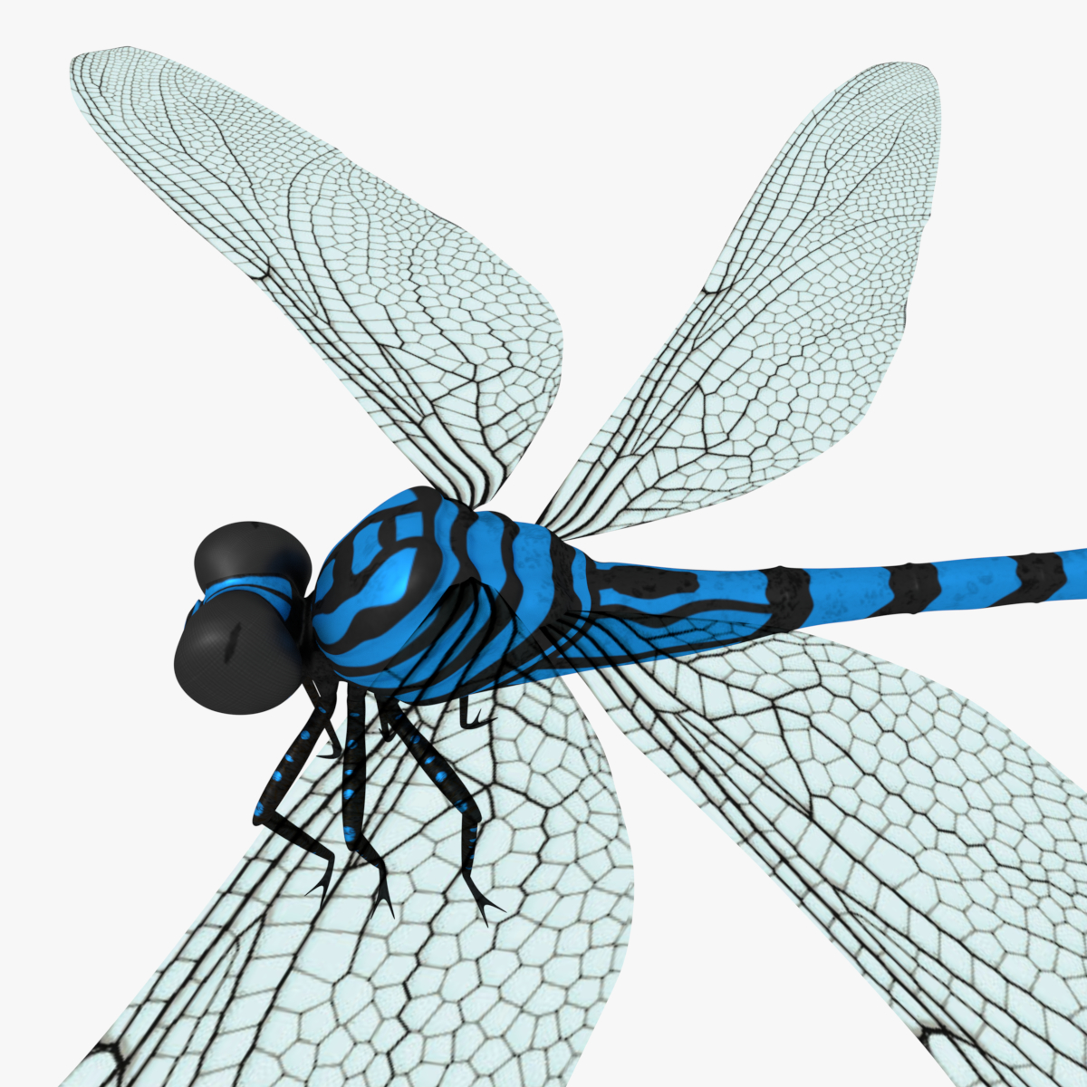 3d dragonfly