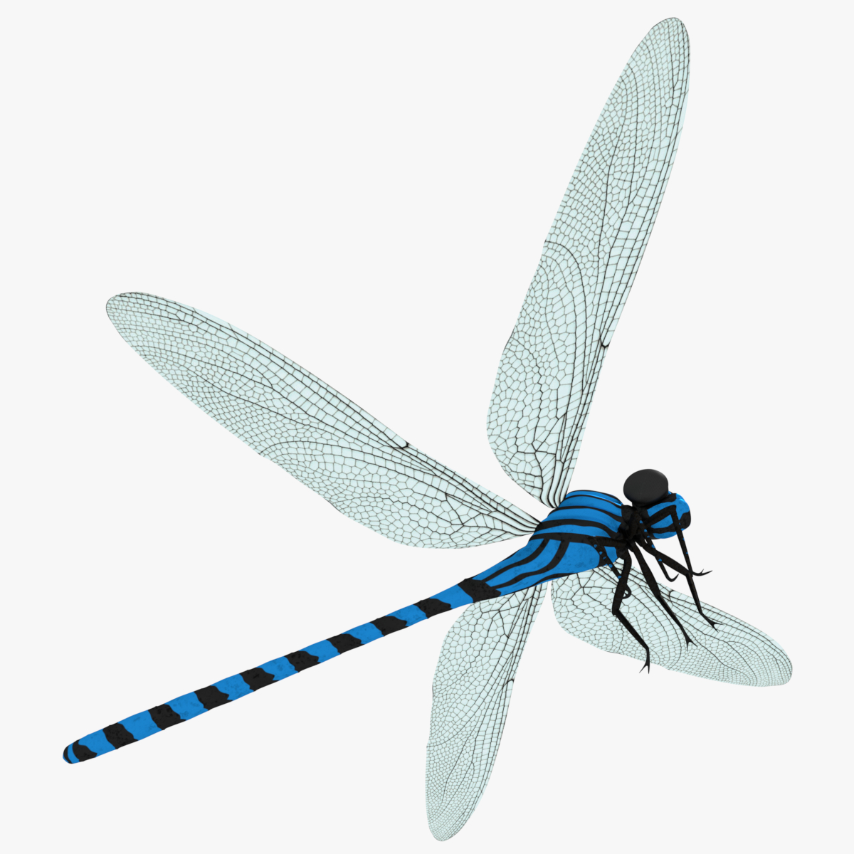 3d dragonfly