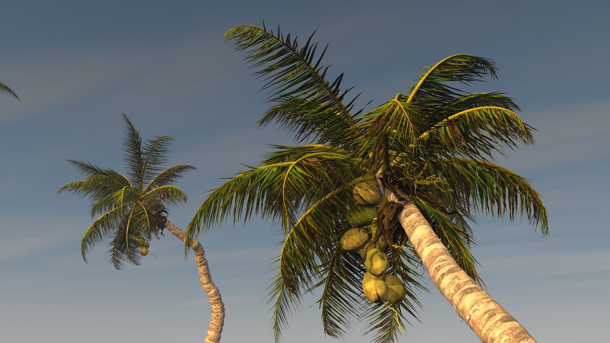 3d coconut palm model