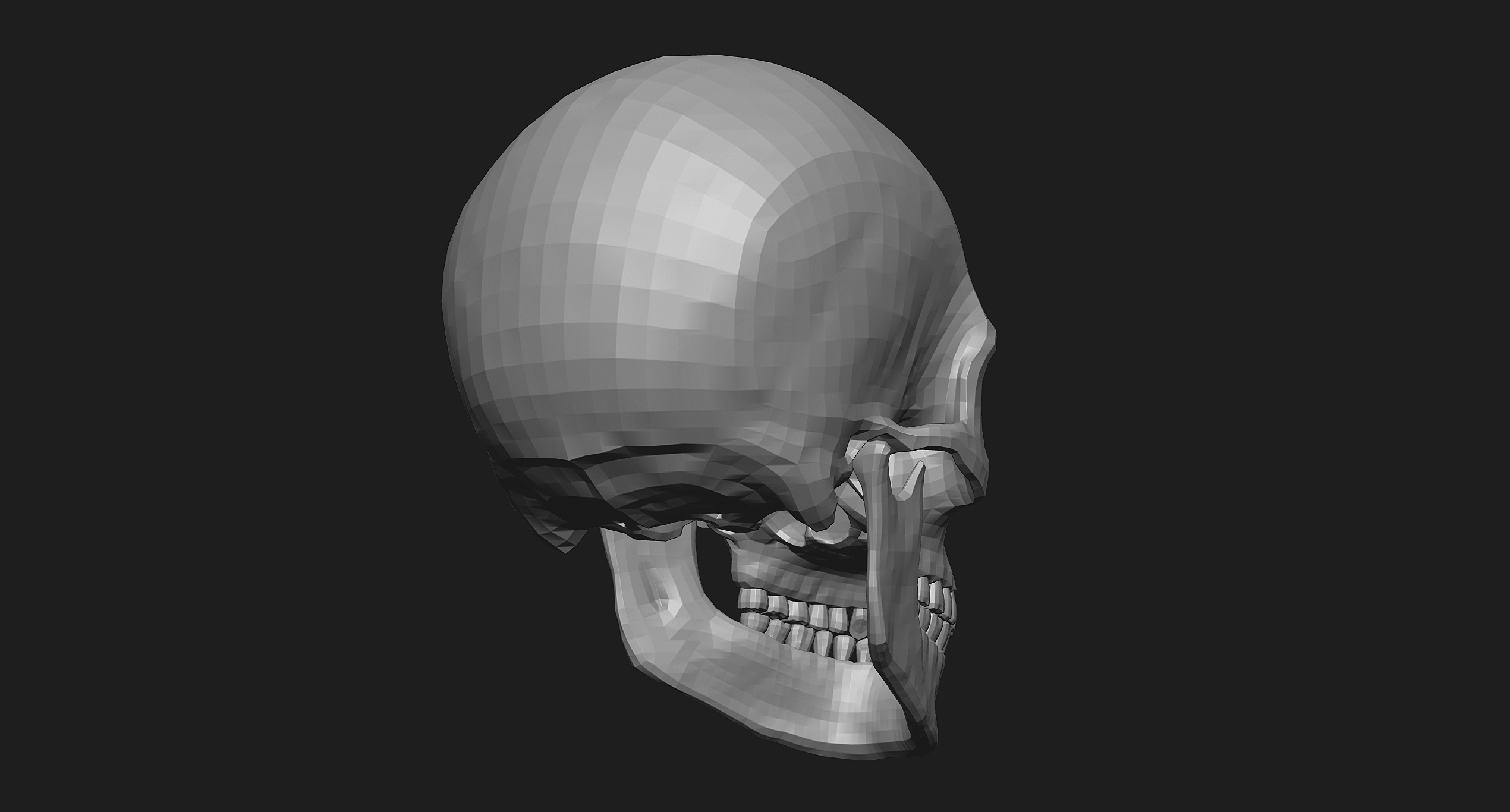 人类头骨zbrush模型3d模型