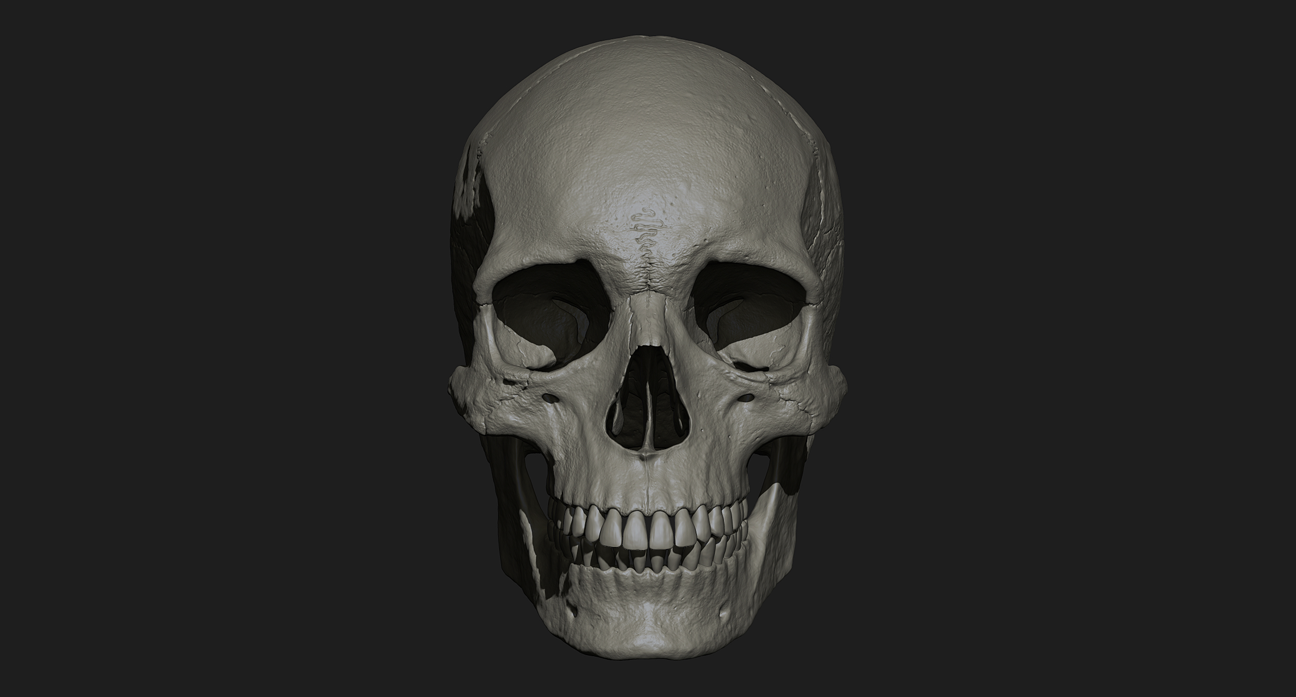 人类头骨zbrush模型3d模型