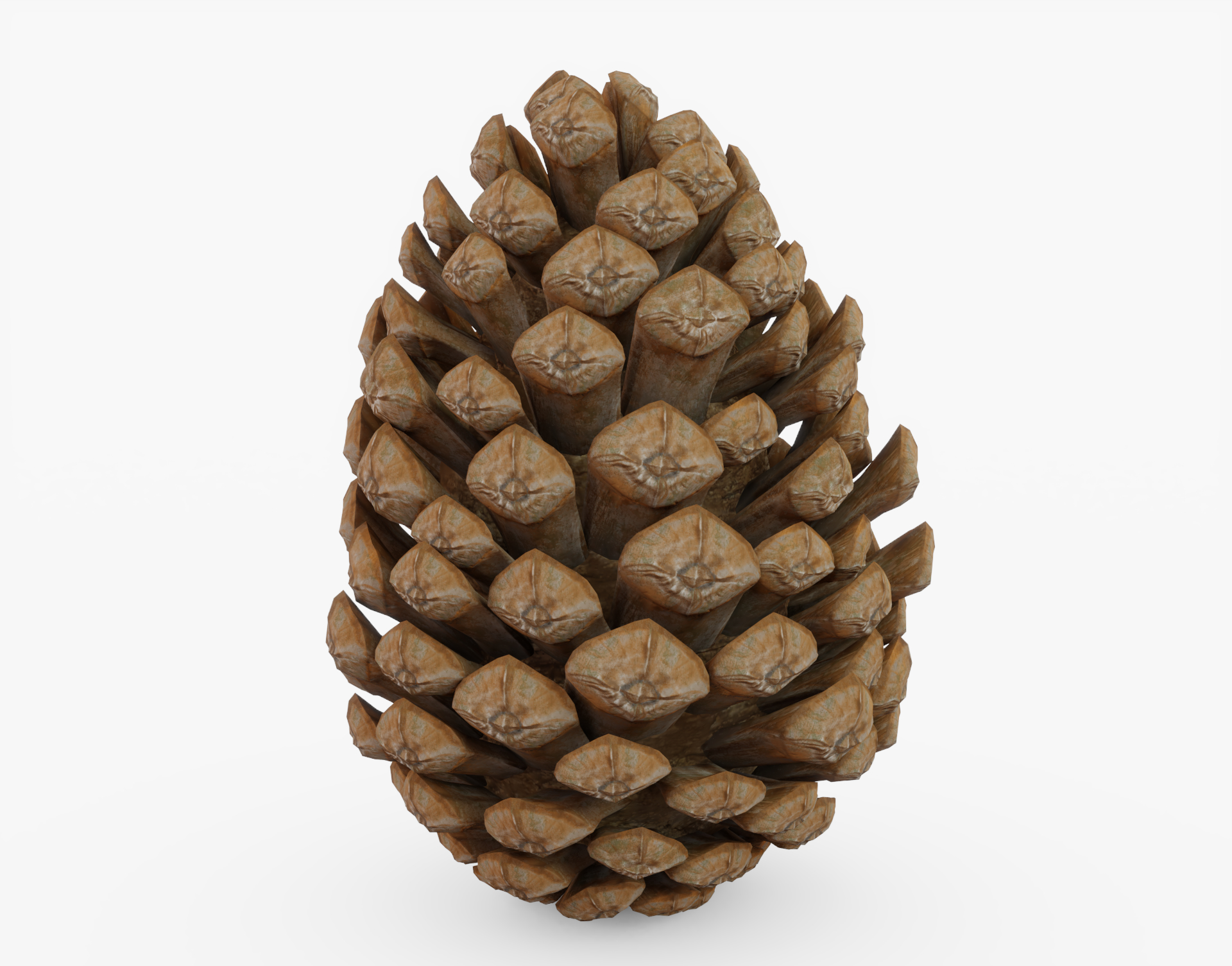 pine cone pinecone 3d model