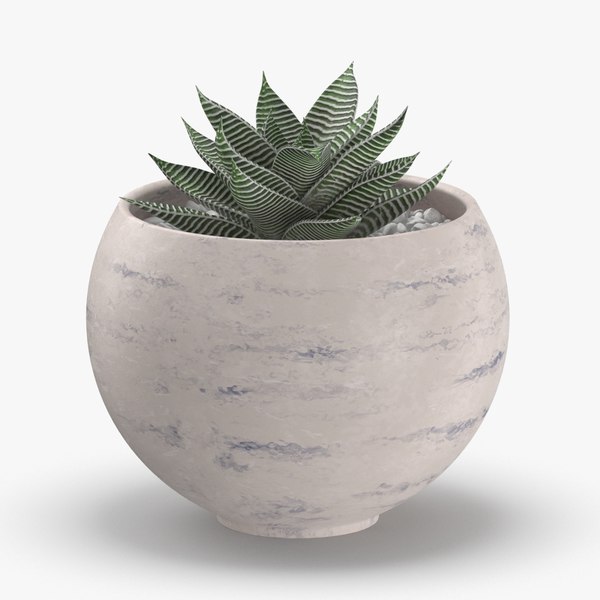 They Requested A Hundred Specialists About Fluffy Cactus. One Reply Stood Out They Requested A Hundred Specialists About Fluffy Cactus. One Reply Stood Out