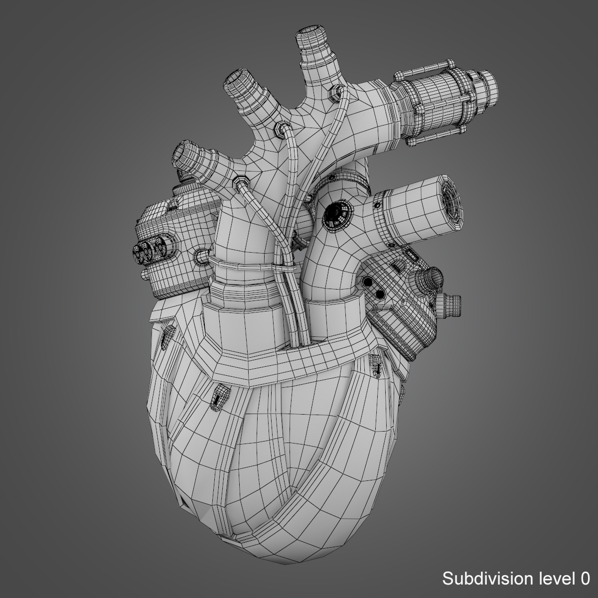 网络心脏3d模型