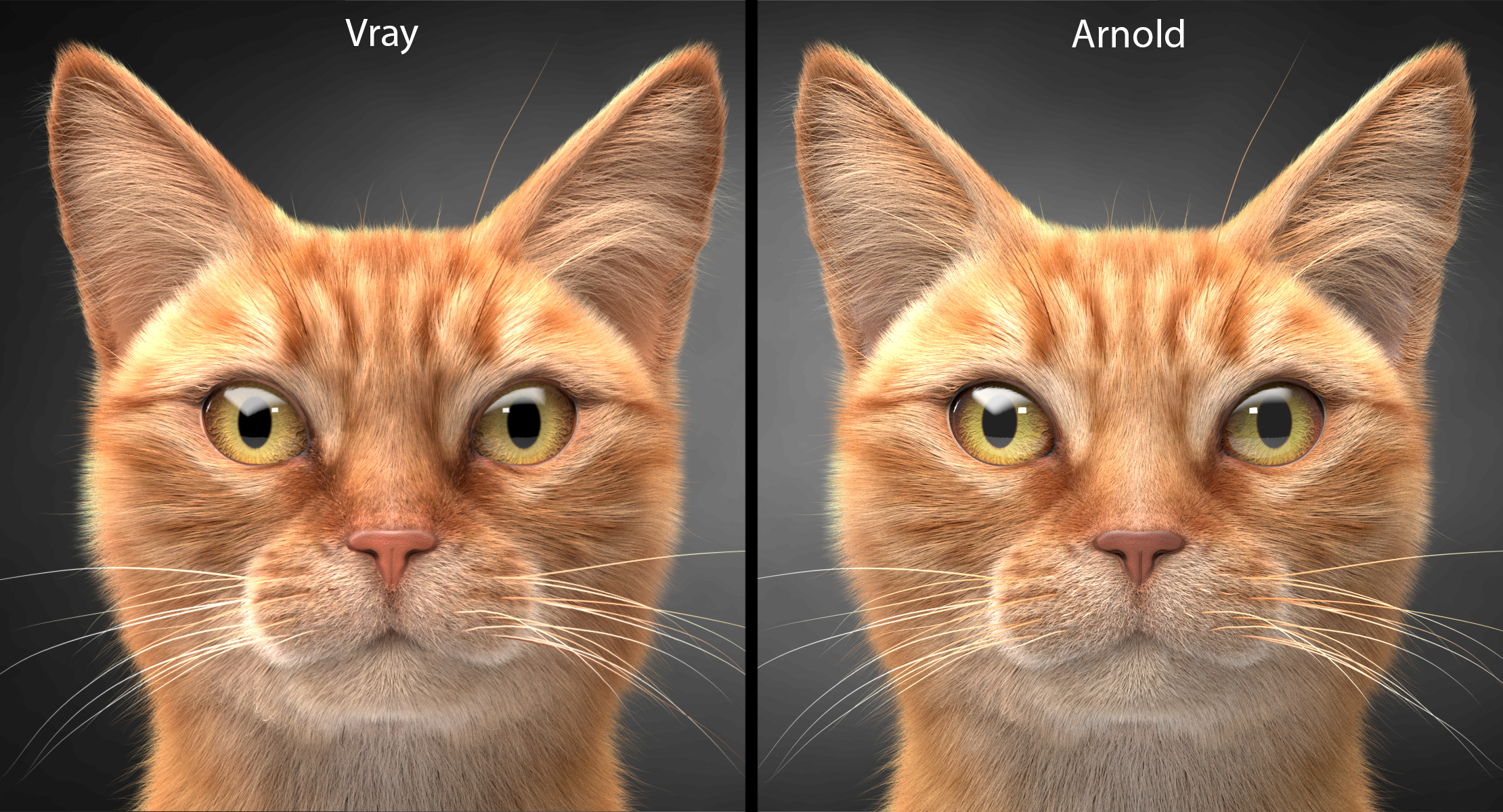 3d ginger cat hair model